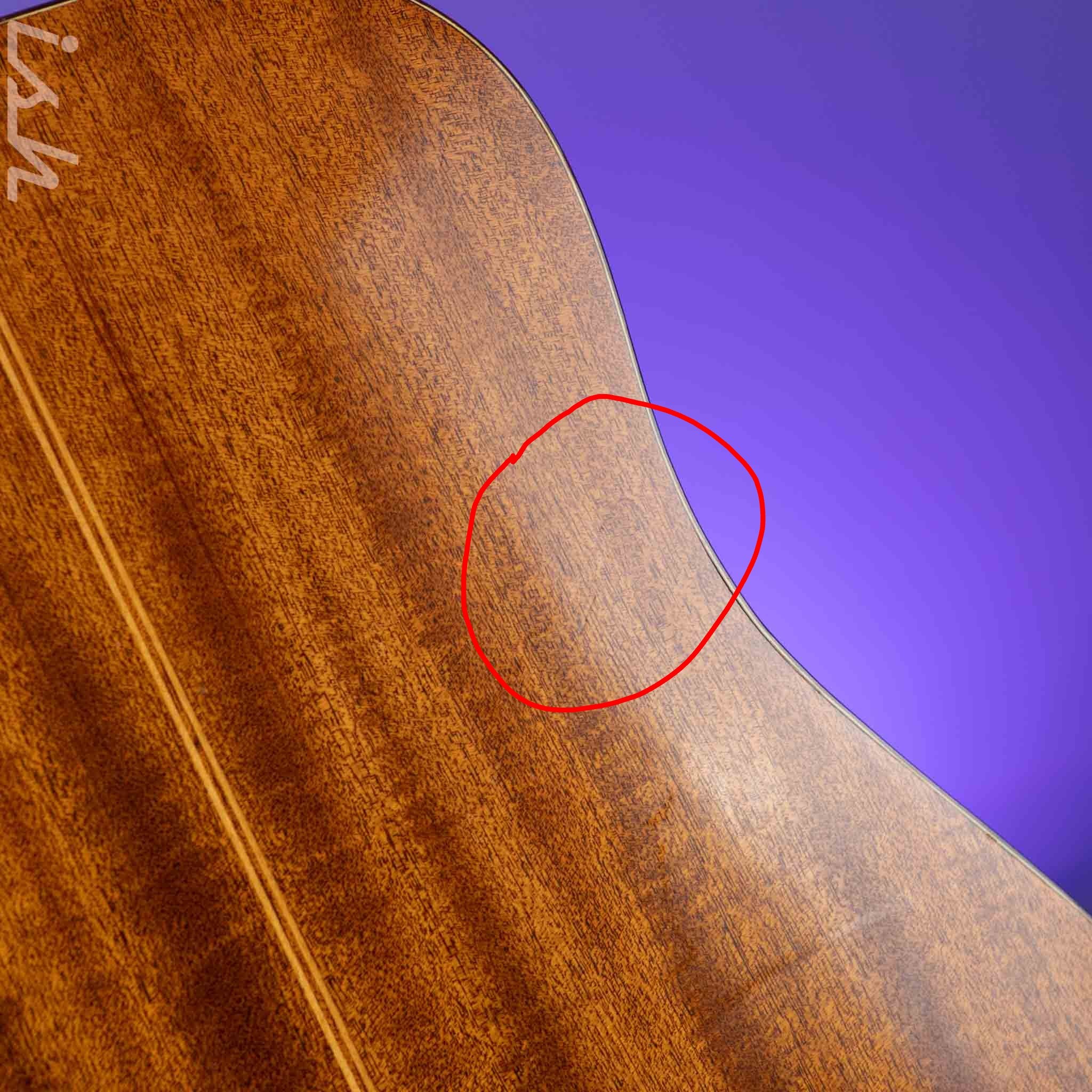 1966-1969 Vega A-25 Acoustic Guitar - Image 15