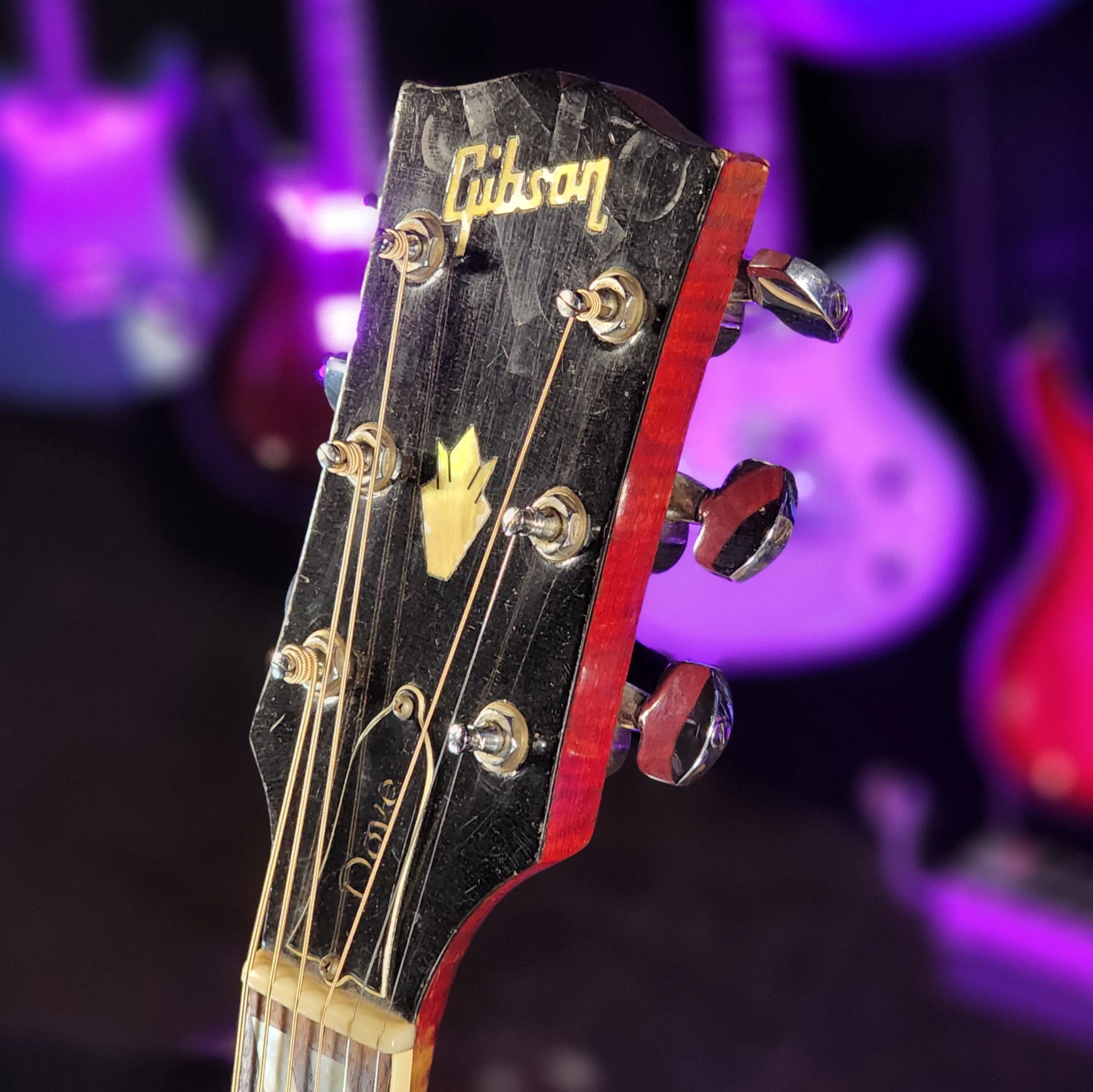 1970-1972 Gibson Dove Natural - Image 12