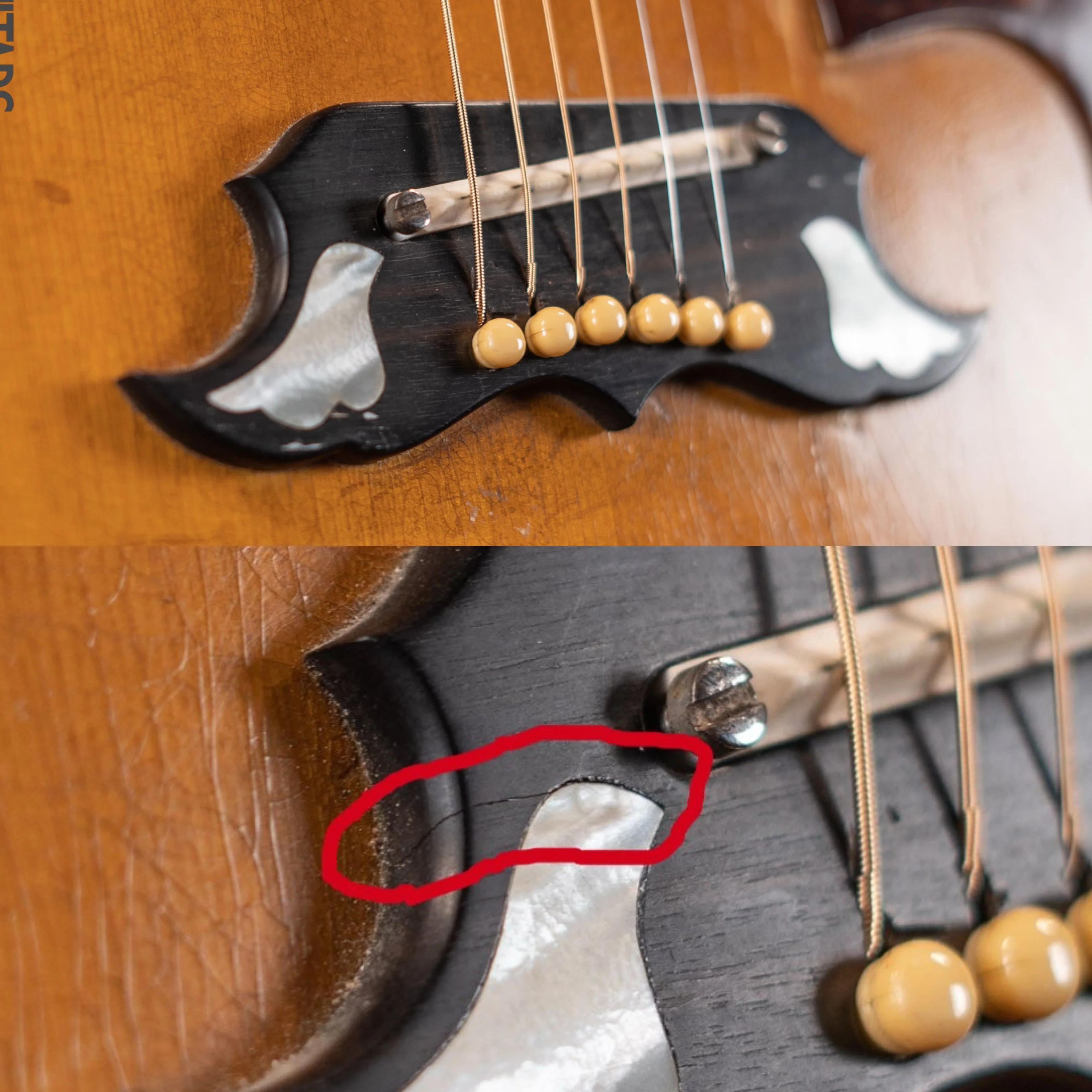 1970-1972 Gibson Dove Natural - Image 8