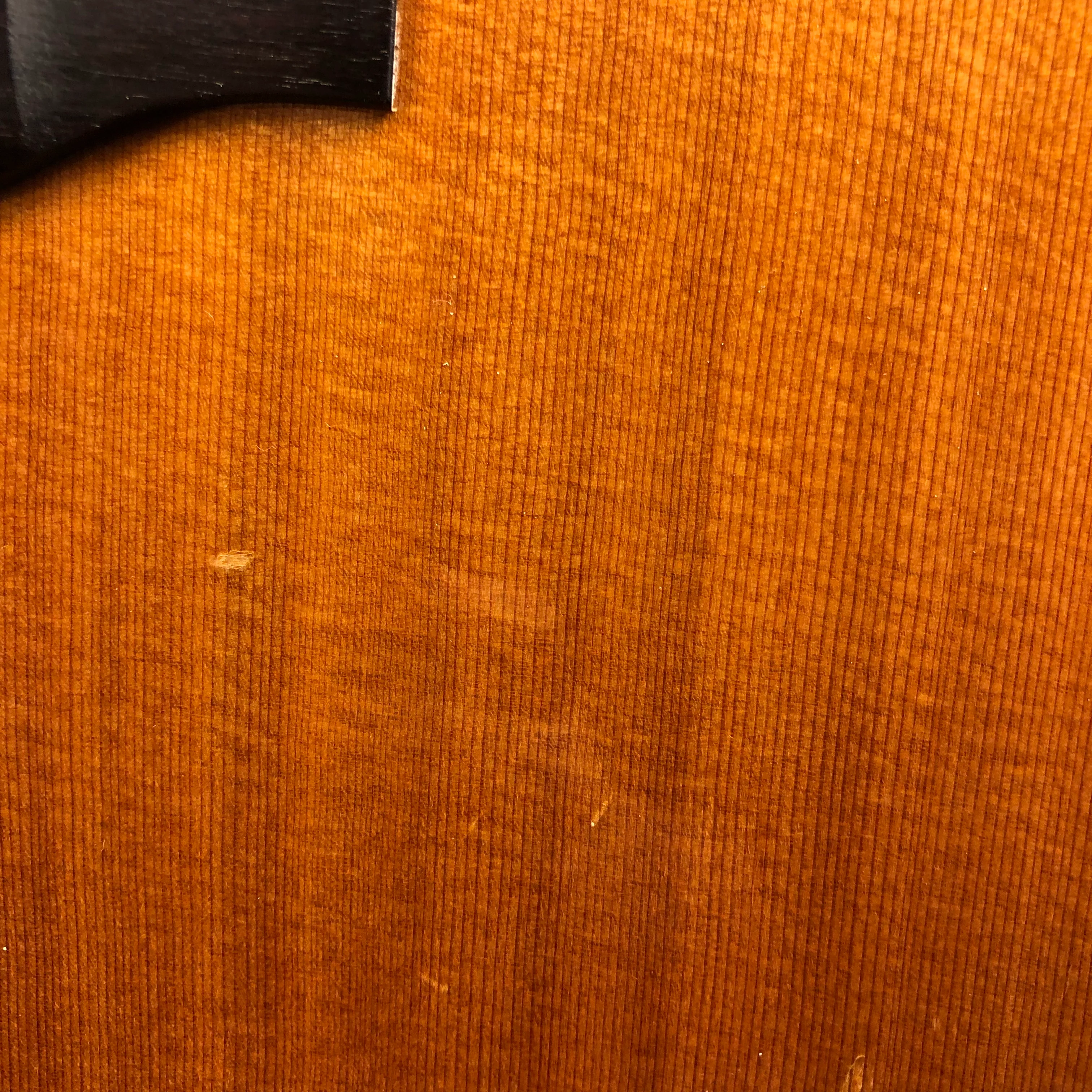 1981 Alvarez Yairi DY68 12 String - Image 14