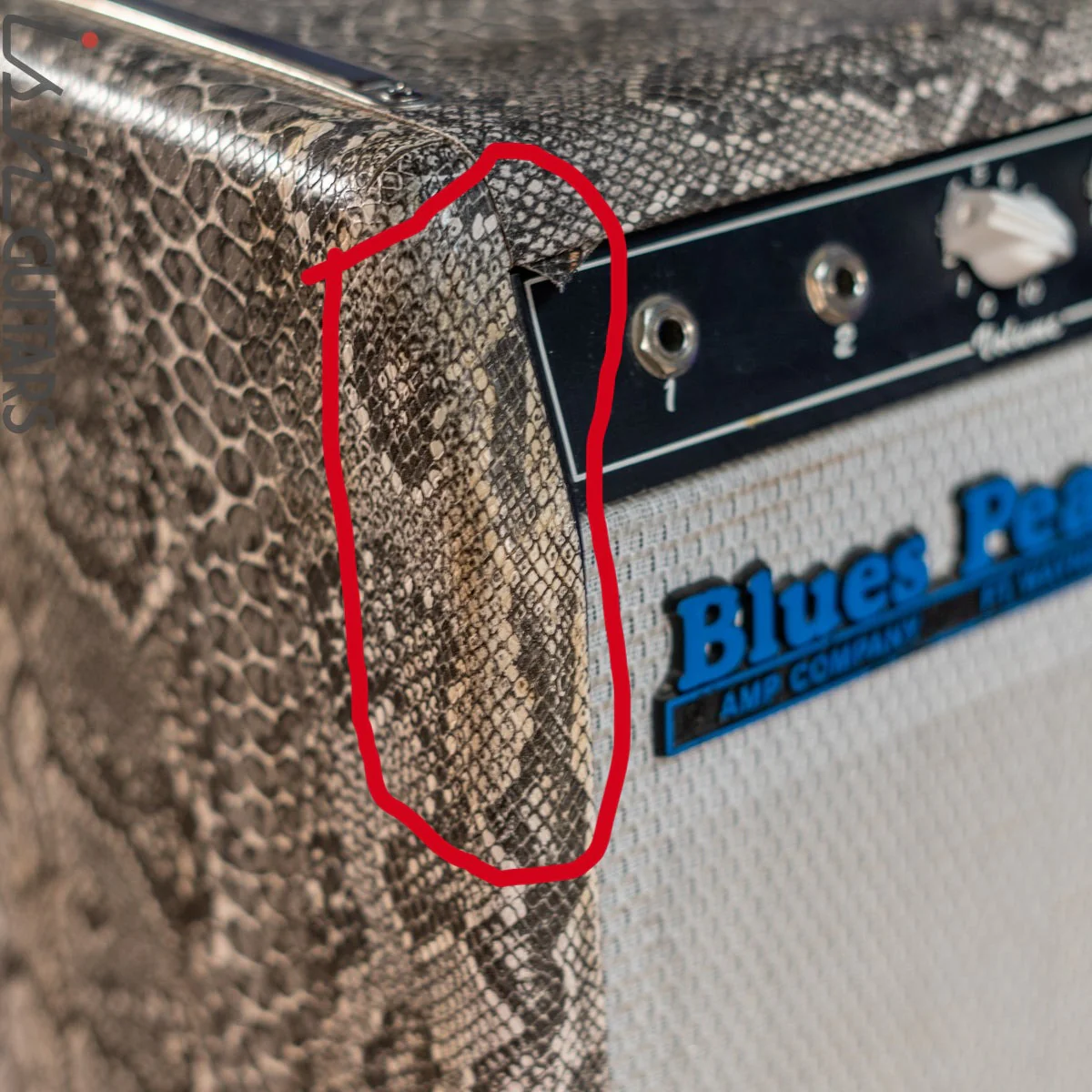 1998 Blues Pearl Texas Tornado 1x12 Combo Snakeskin - Image 11