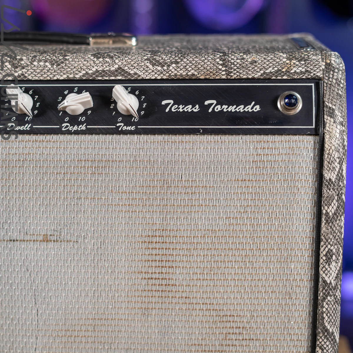 1998 Blues Pearl Texas Tornado 1x12 Combo Snakeskin - Image 4