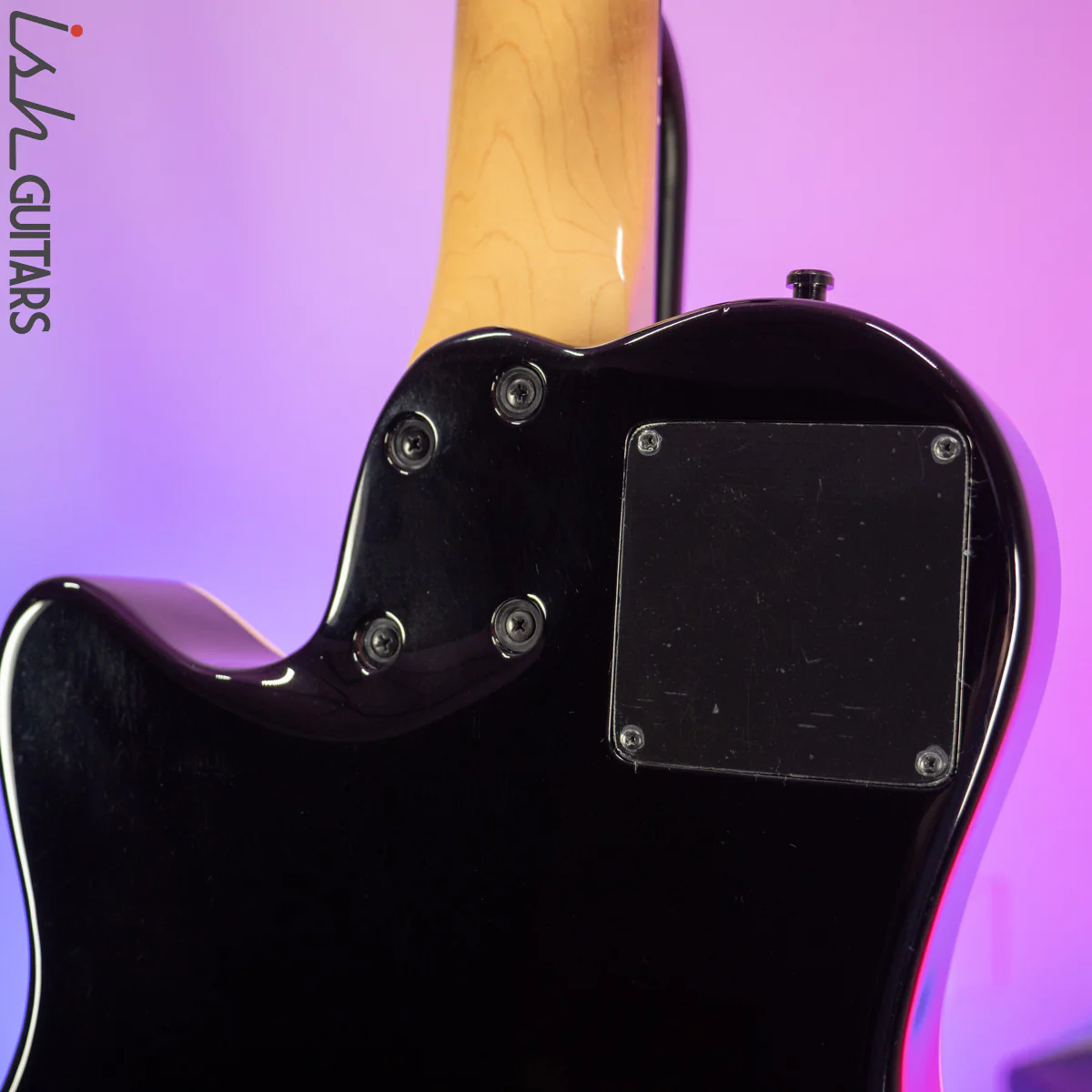 2000 Godin A5 Five-String Fretless Semi-Acoustic Bass - Image 10