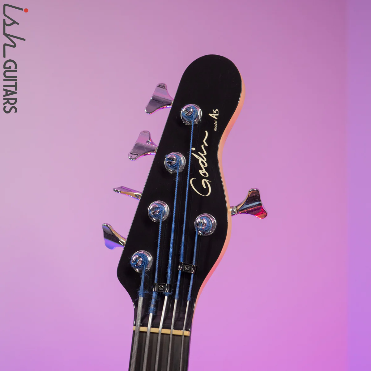 2000 Godin A5 Five-String Fretless Semi-Acoustic Bass - Image 7