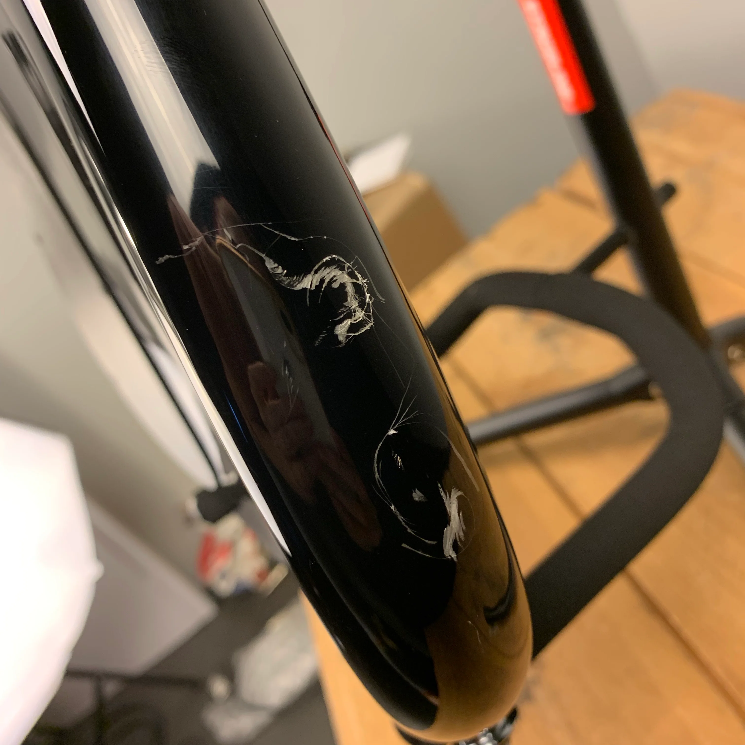 2000’s Spector Euro 5LX Gloss Black - Image 13