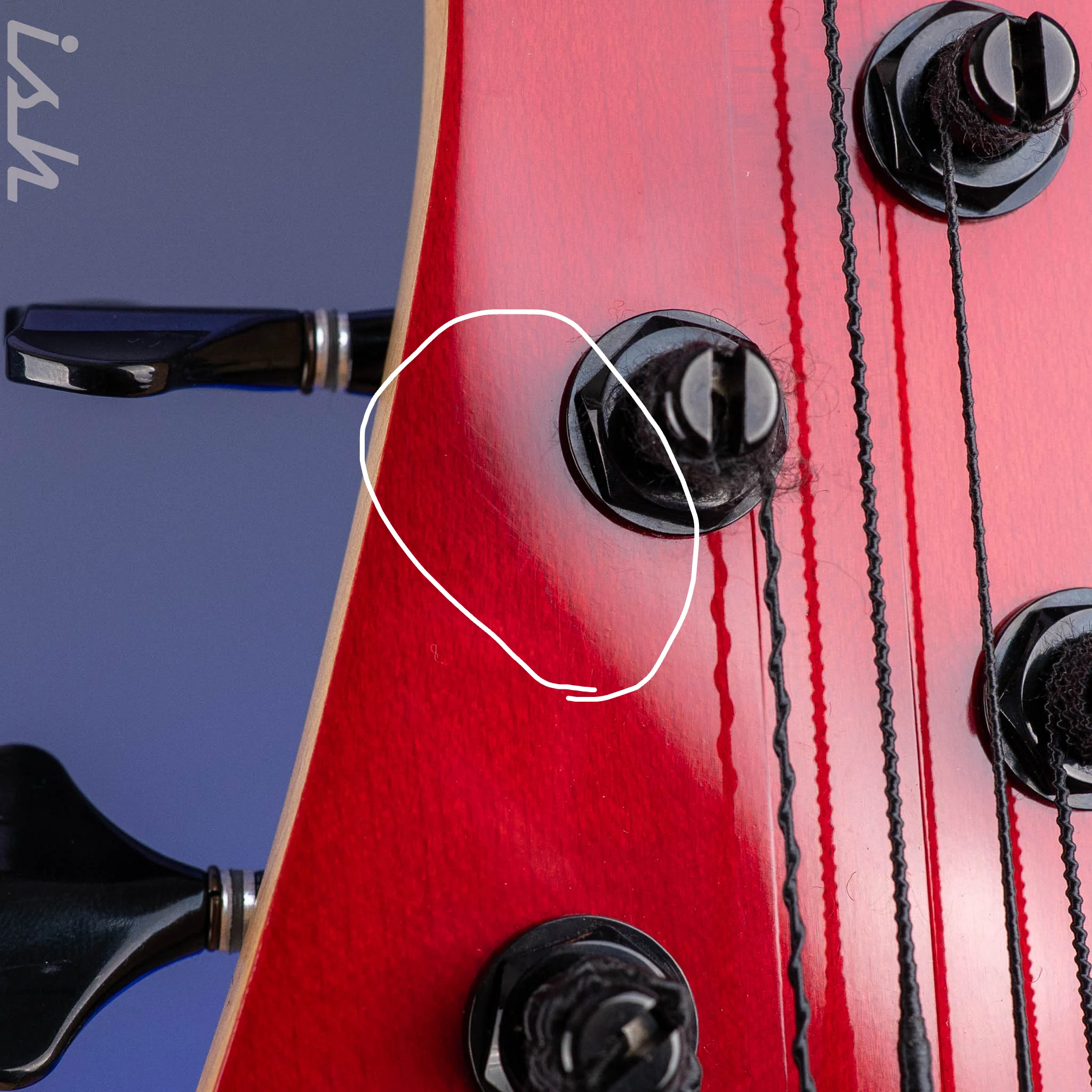 2004 F Bass BNF5 Fretless Transparent Red - Image 12