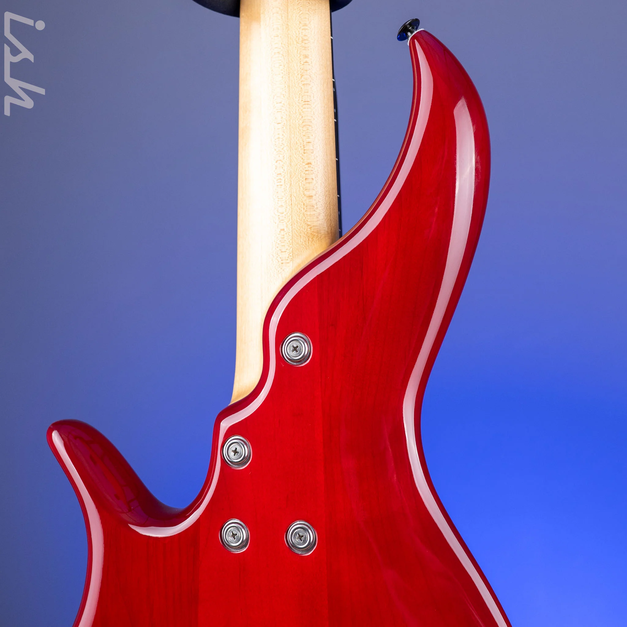 2004 F Bass BNF5 Fretless Transparent Red - Image 15