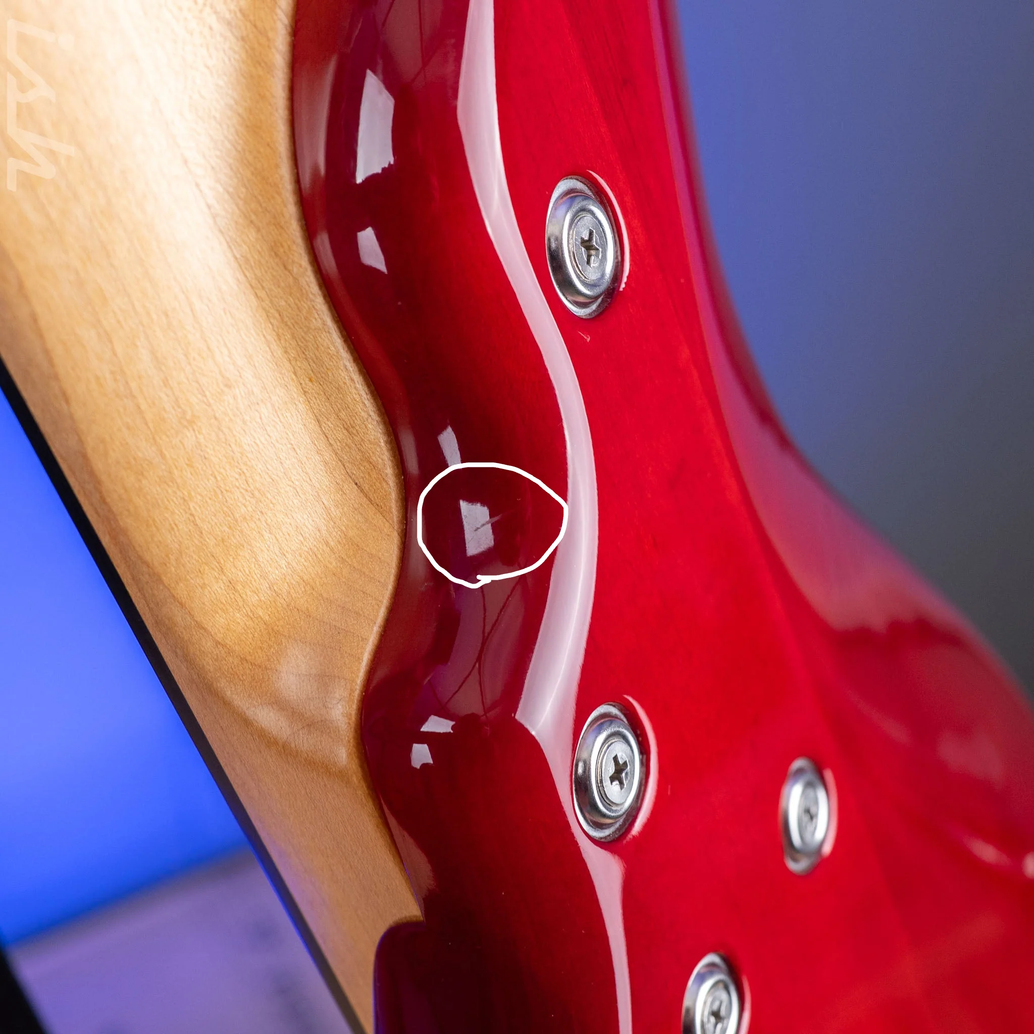 2004 F Bass BNF5 Fretless Transparent Red - Image 21