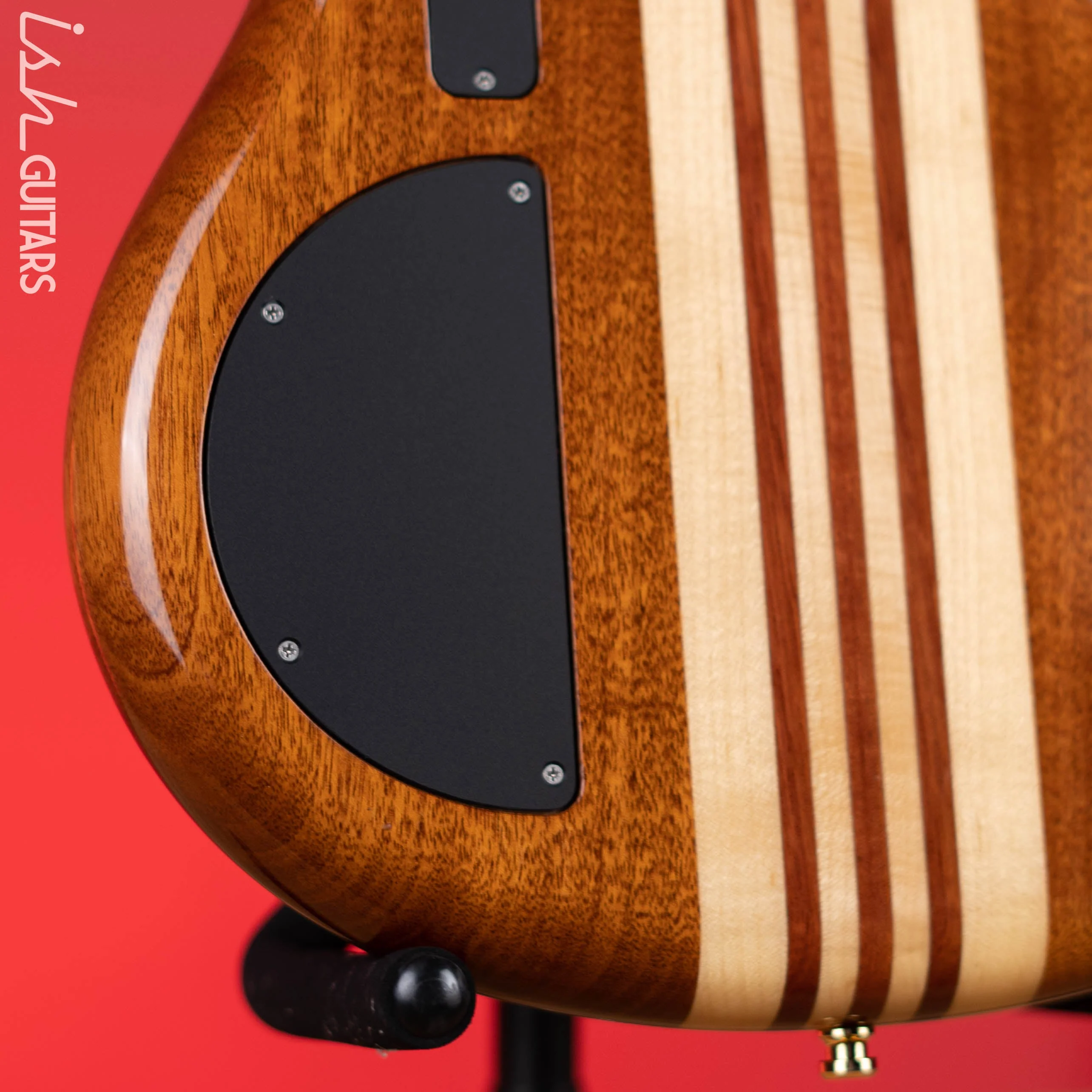 2005 Alembic Essence 5 String Natural - Image 11