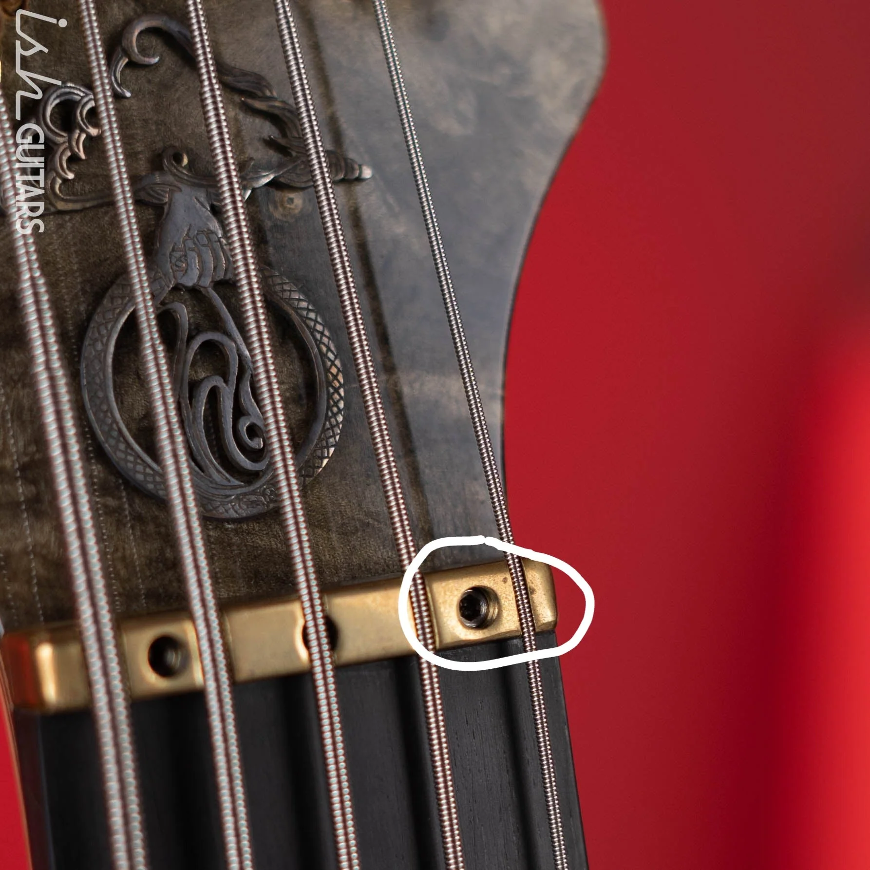 2005 Alembic Essence 5 String Natural - Image 14