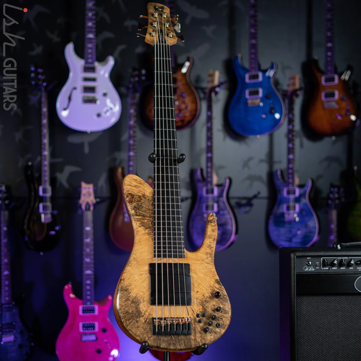 2006 Fodera Beez Elite 6 Singlecut 6-String Bass Natural Buckeye Burl - Image 2
