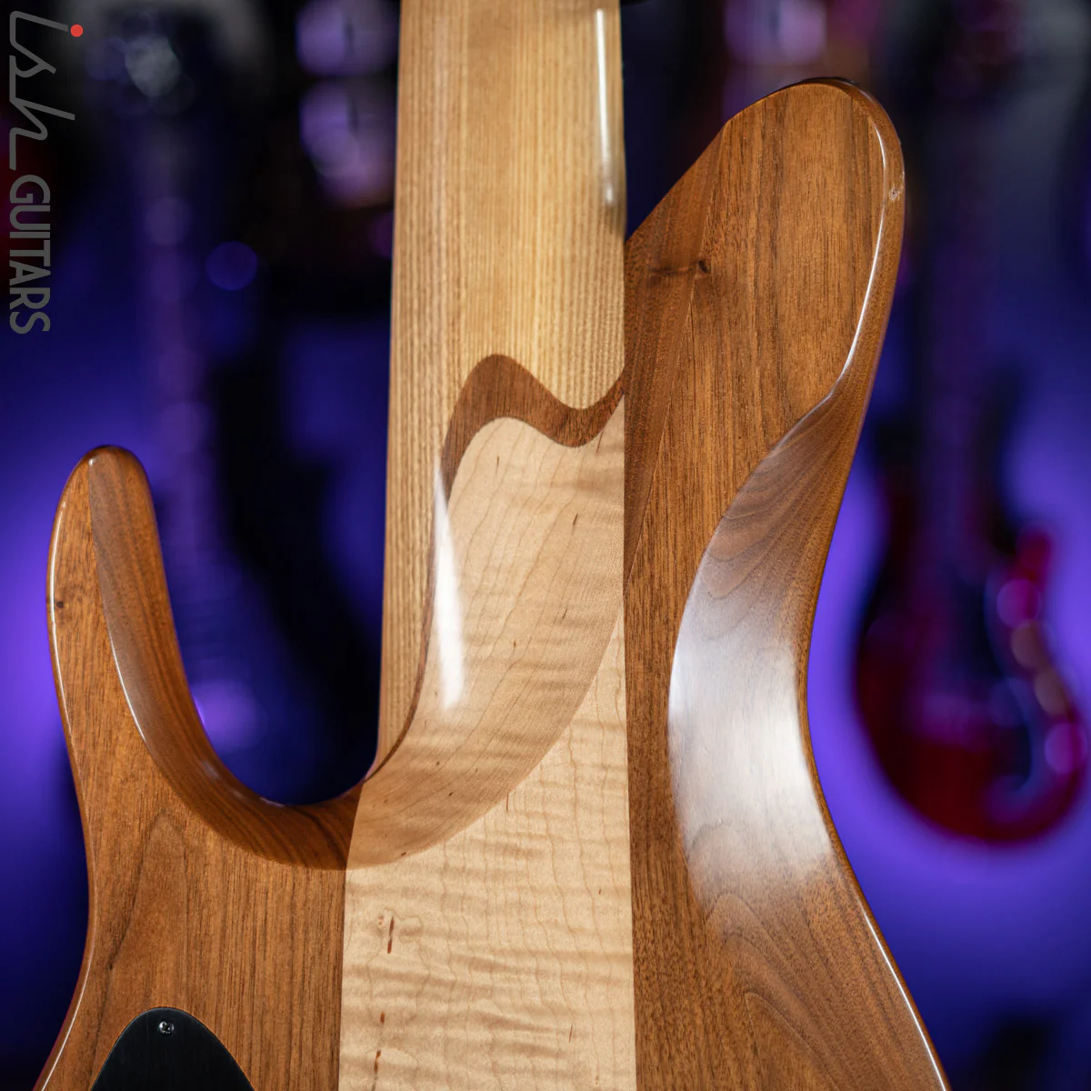 2006 Fodera Beez Elite 6 Singlecut 6-String Bass Natural Buckeye Burl - Image 9