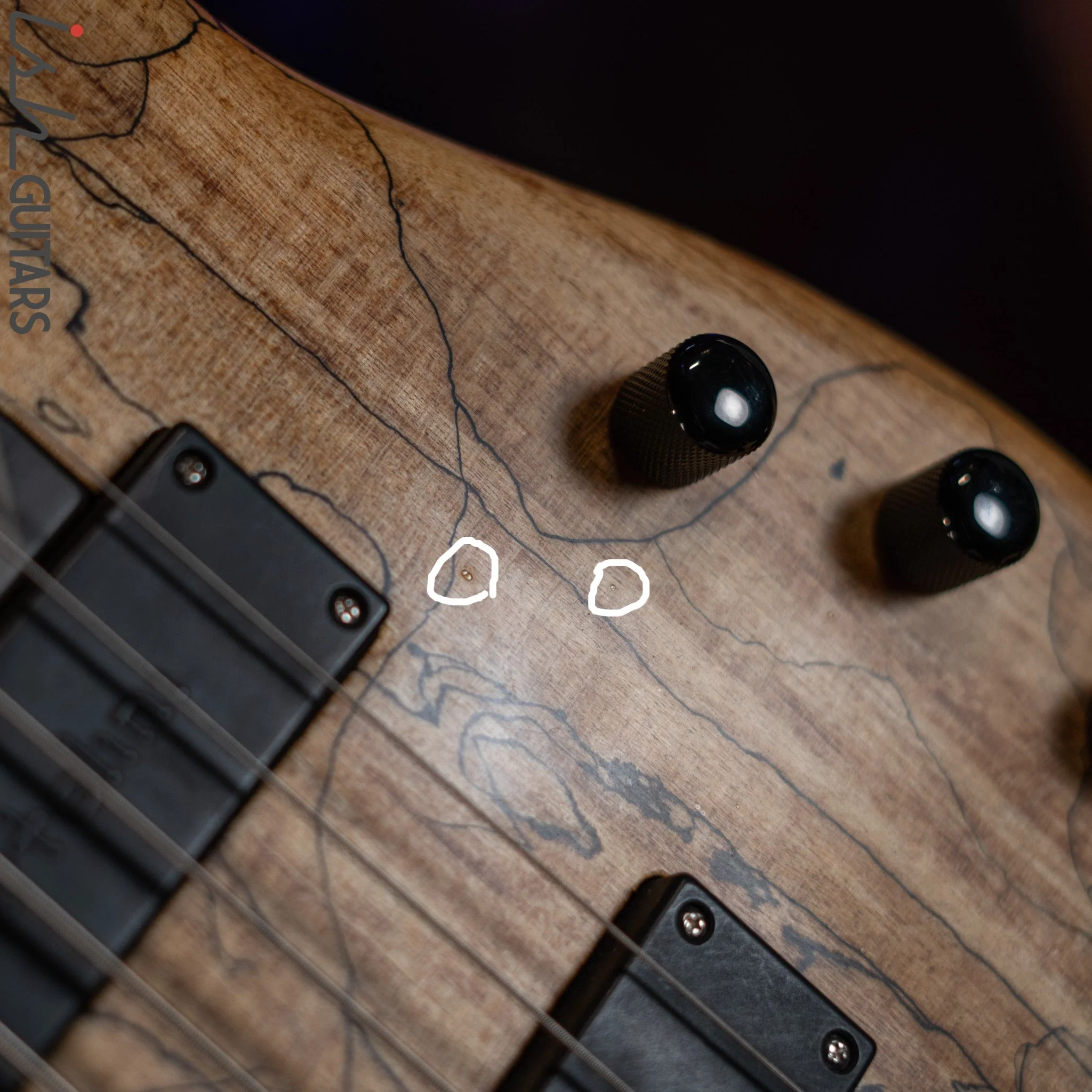 2006 Modulus Q6 Quantum 6-String Bass Natural Spalt Maple - Image 12