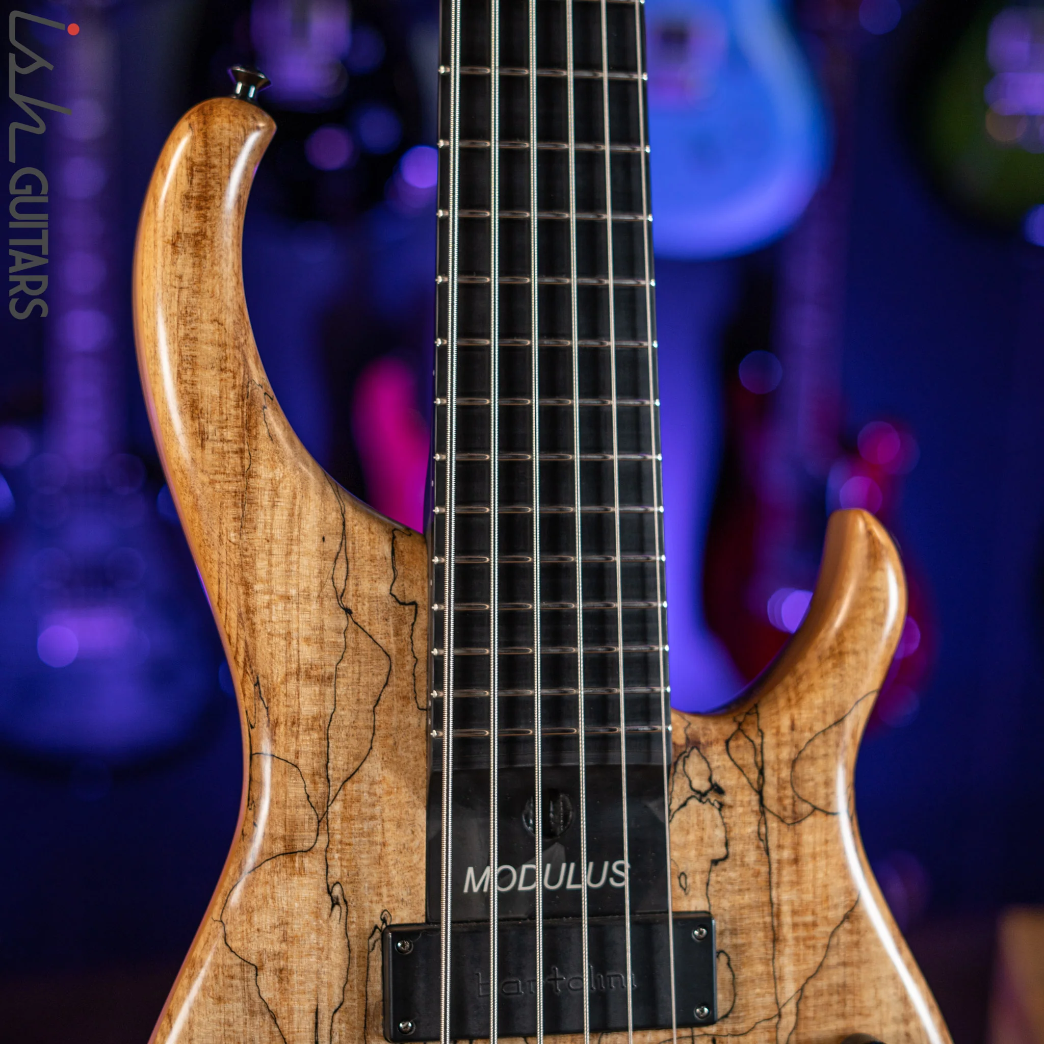 2006 Modulus Q6 Quantum 6-String Bass Natural Spalt Maple - Image 3