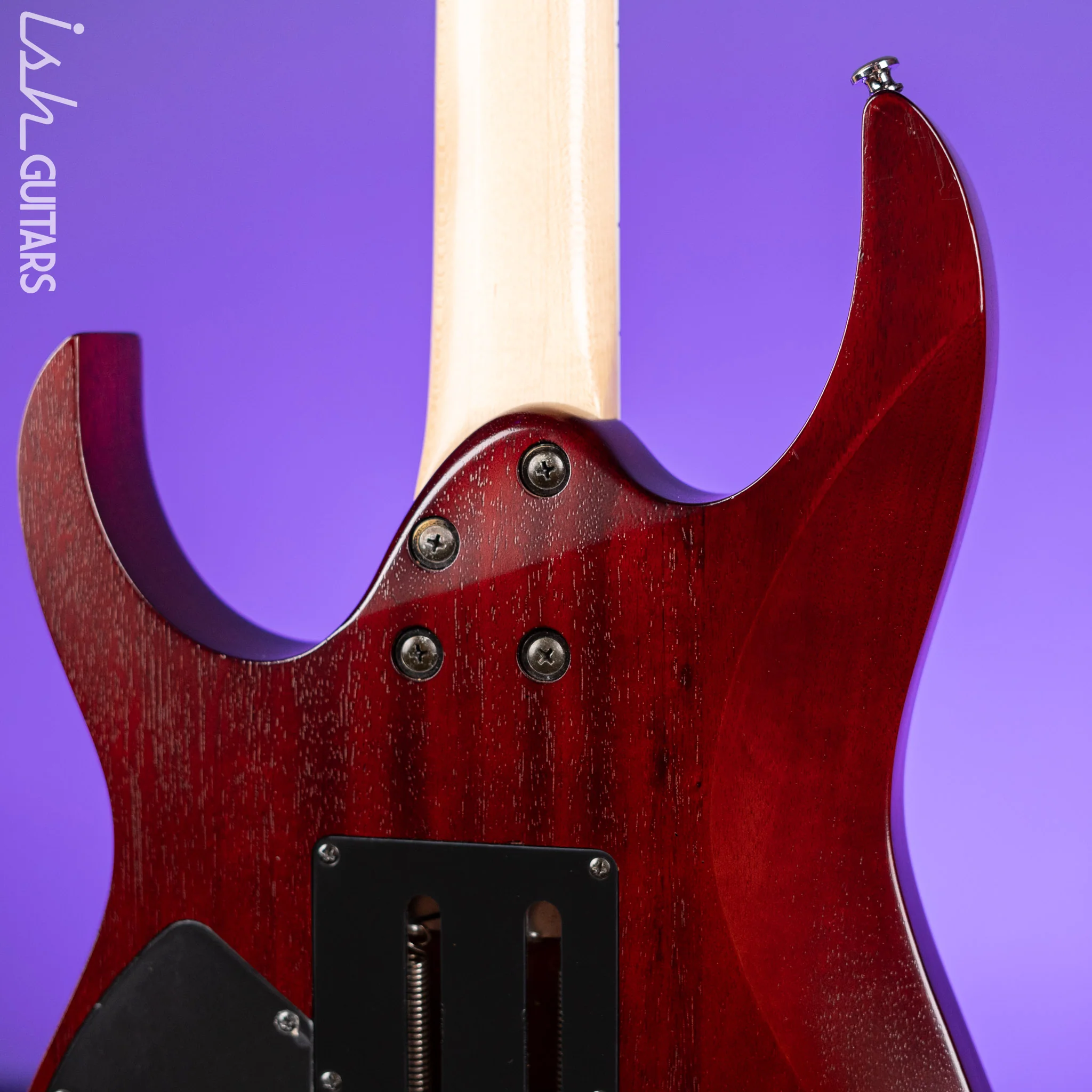 2009 Ibanez RG420FB Flat Brown - Image 9