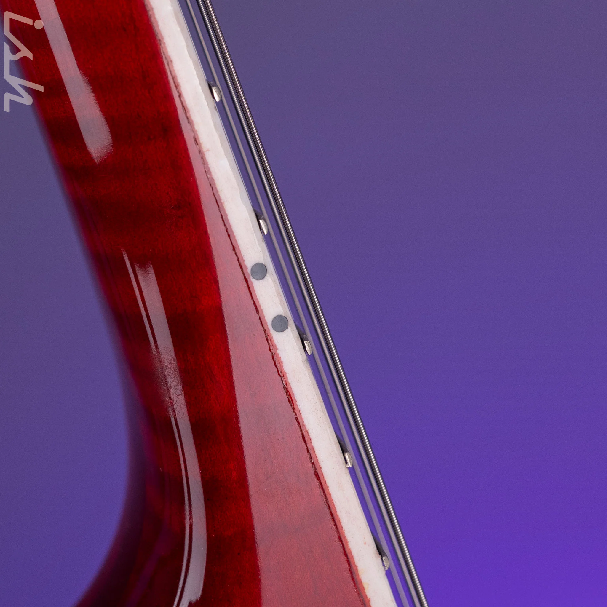 2010 Insalaco Archtop Cherry Burst - Image 24