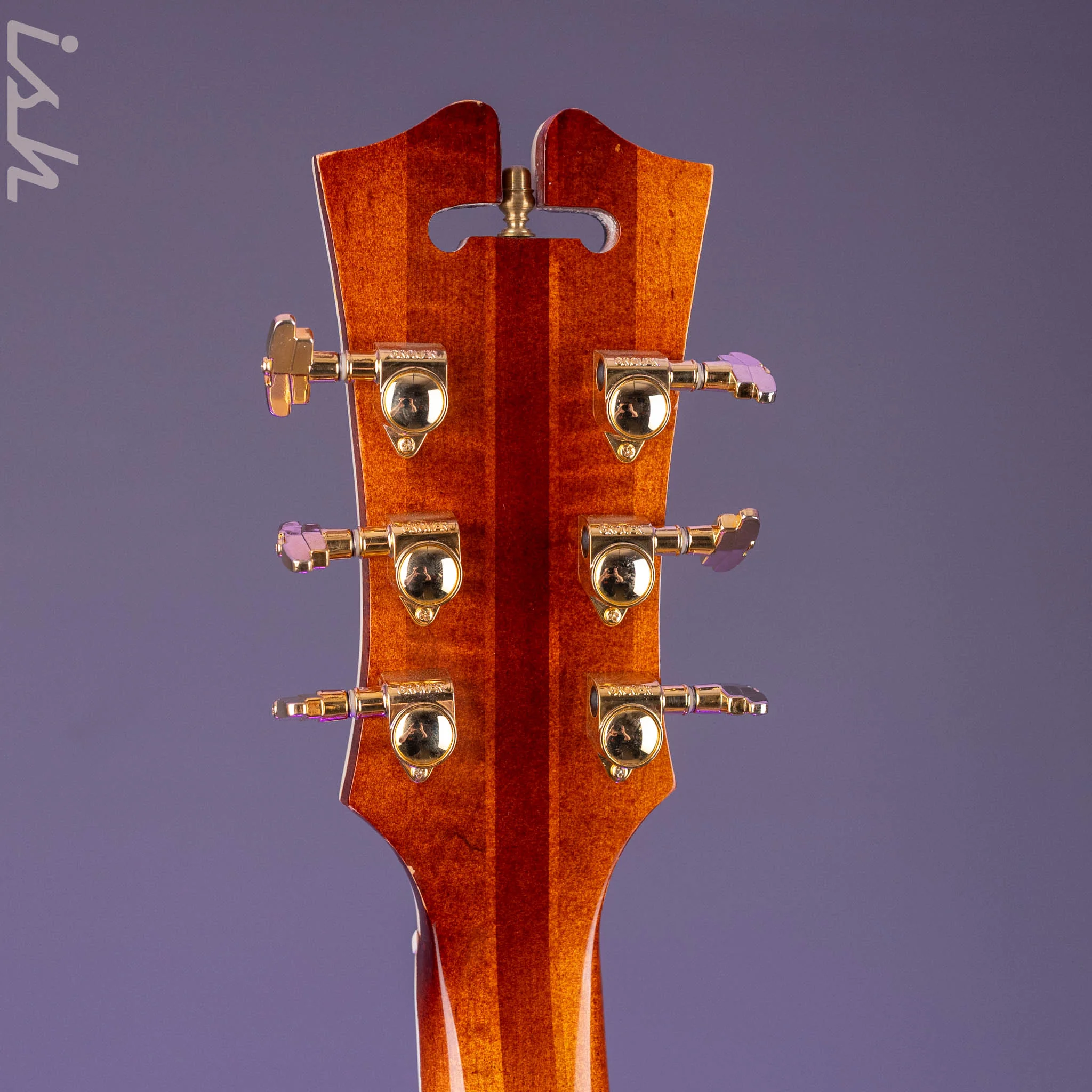 2010 Insalaco Archtop Tobacco Burst - Image 27