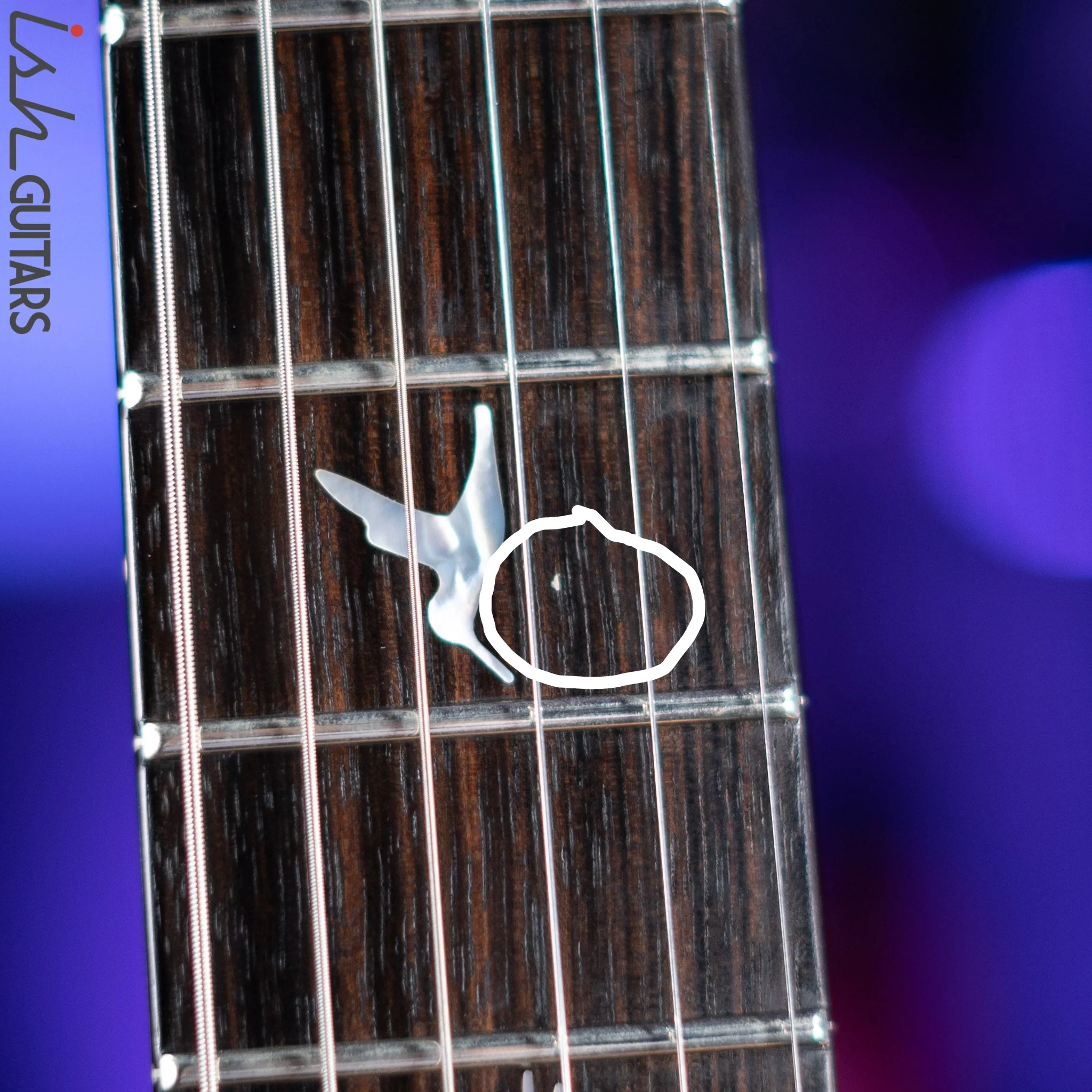 2010 PRS Custom 24 Private Stock #2809 Tiger Eye - Image 14