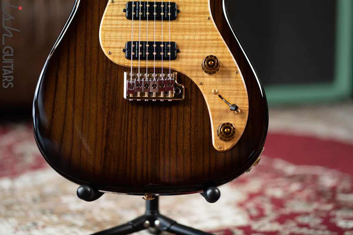 2010 PRS Private Stock NF3 Strat Style Solid Rosewood Body - Image 4