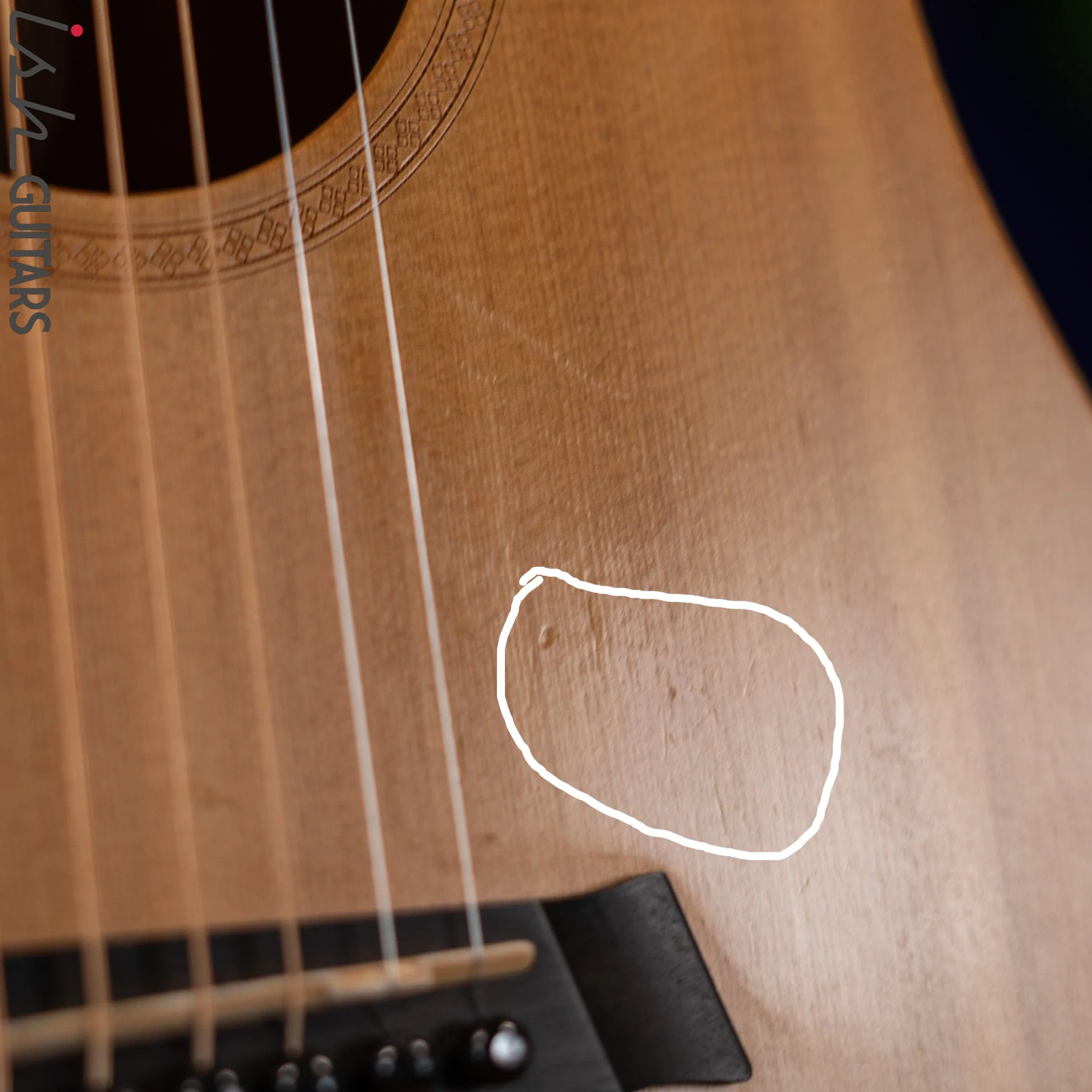 2010 Taylor 301 GB Natural - Image 8