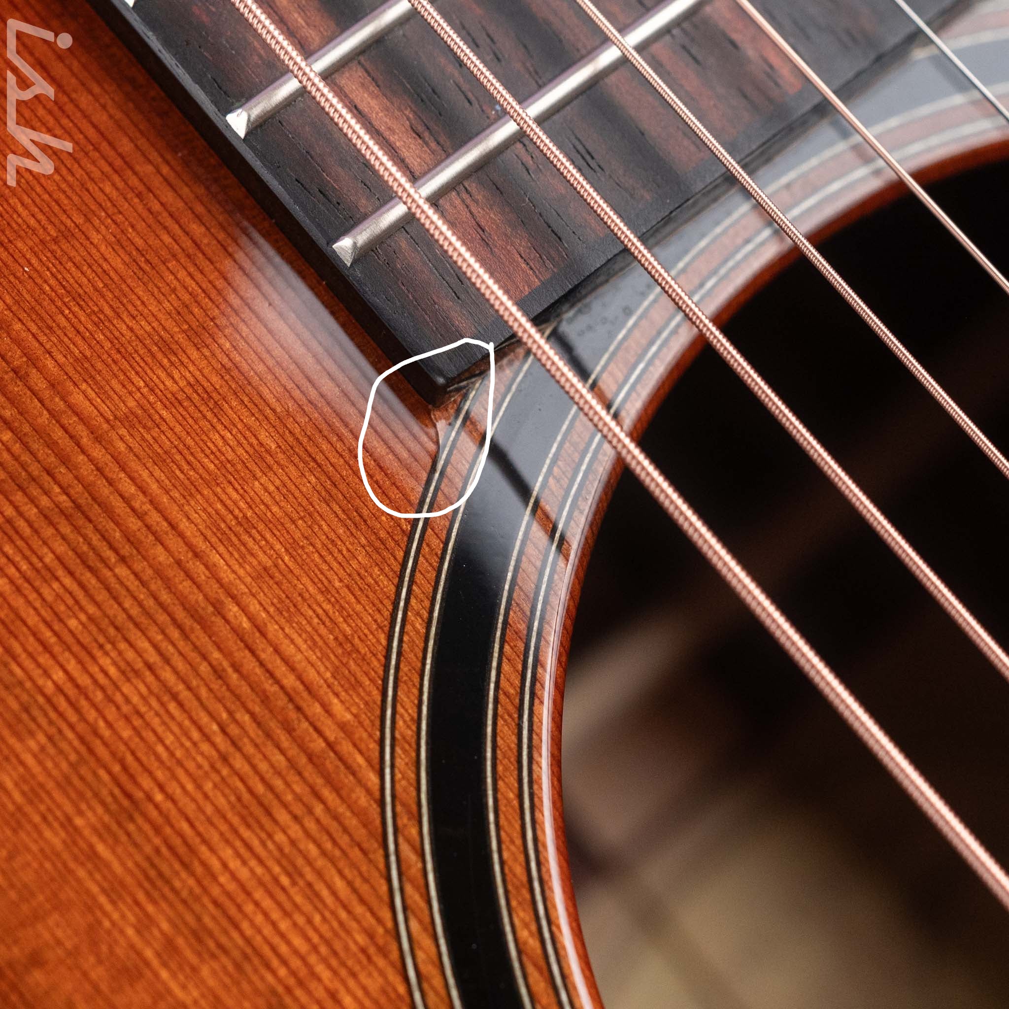 2010 Taylor Custom Shop Grand Symphony GS Florentine Sinker Redwood - Image 6