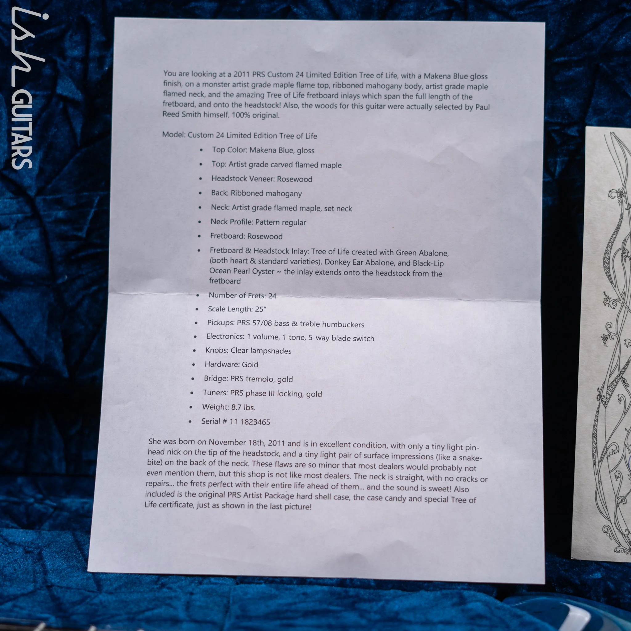 2011 PRS Custom 24 Tree Of Life Makena Blue - Image 19