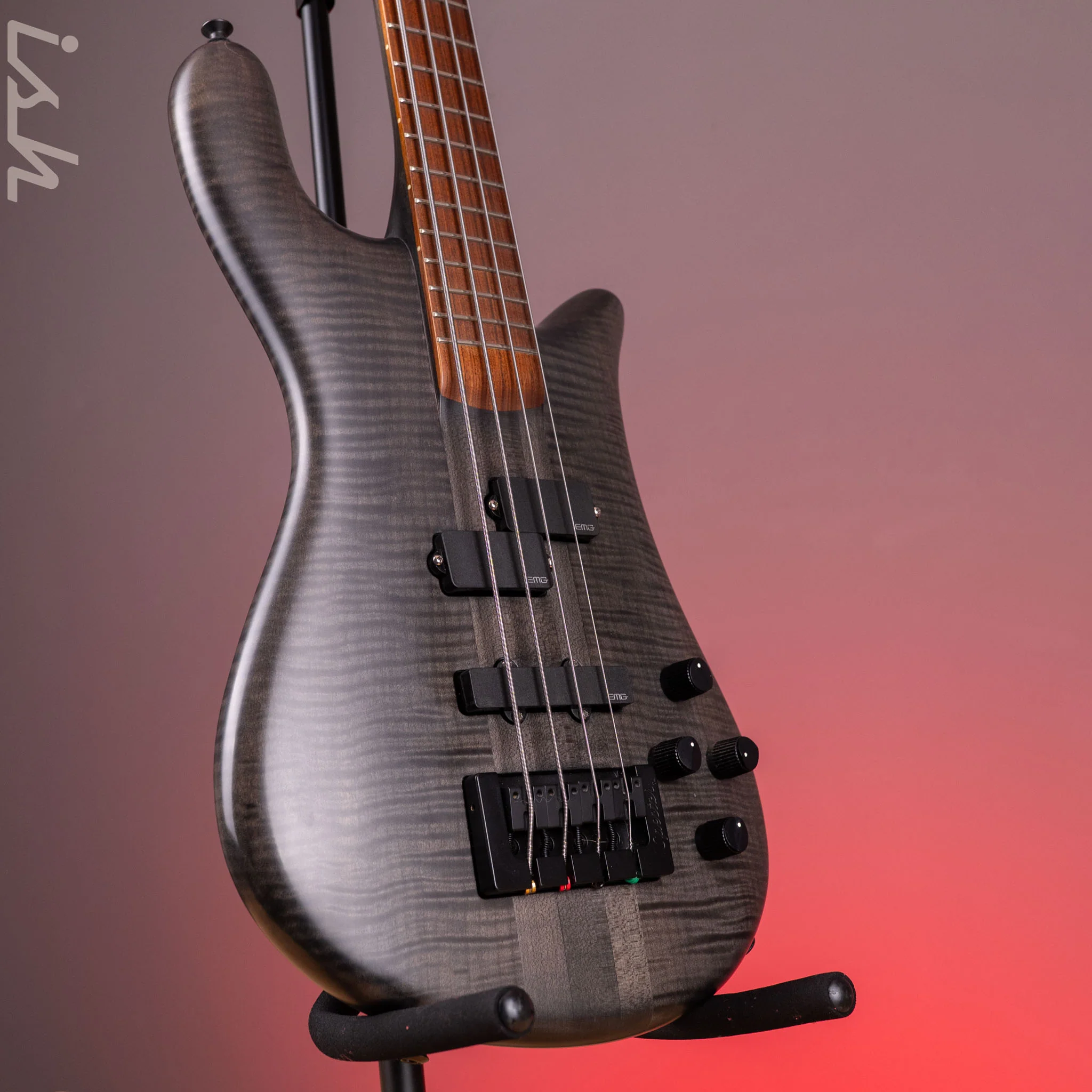 2011 Spector Forte 4 Matte Black Satin - Image 3
