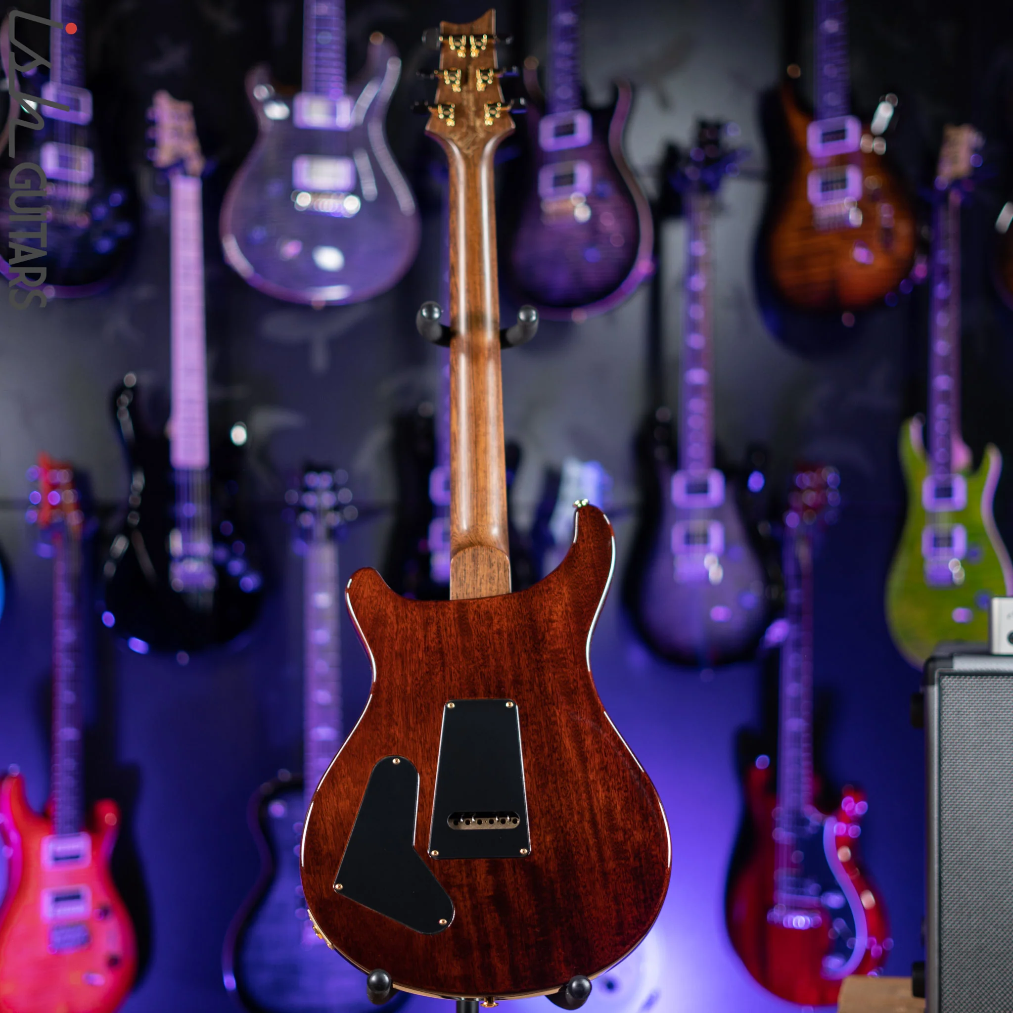 PRS Custom 22 Private Stock Tiger Eye Smoked Burst Birds On A Wire - Image 11