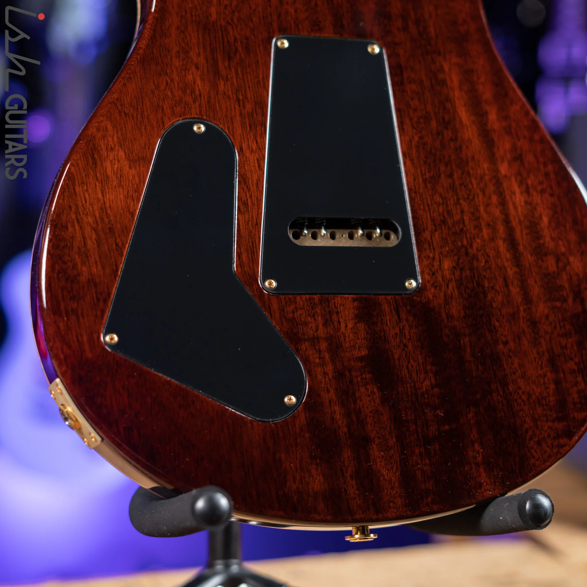 PRS Custom 22 Private Stock Tiger Eye Smoked Burst Birds On A Wire - Image 14
