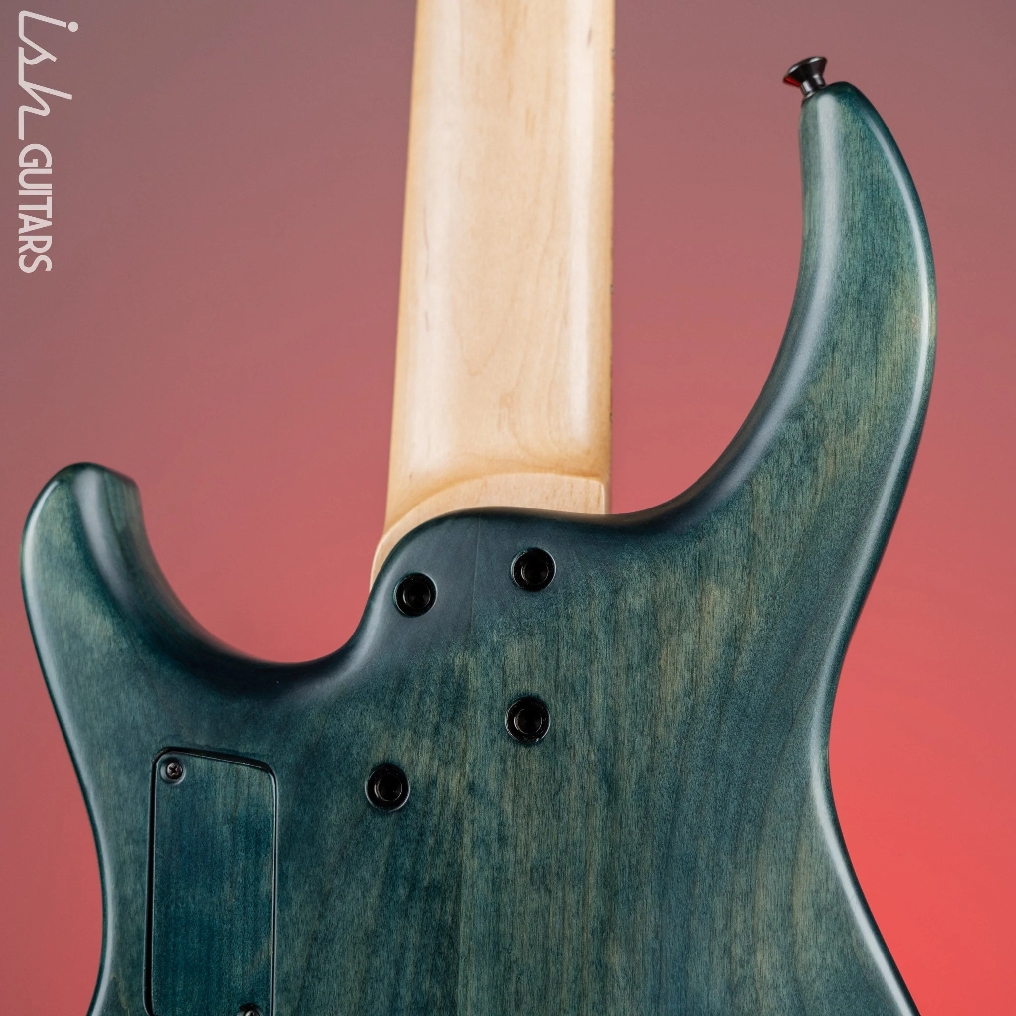 2014 MTD Saratoga Norm Stockton Signature 5-String Bass #5 - Image 15