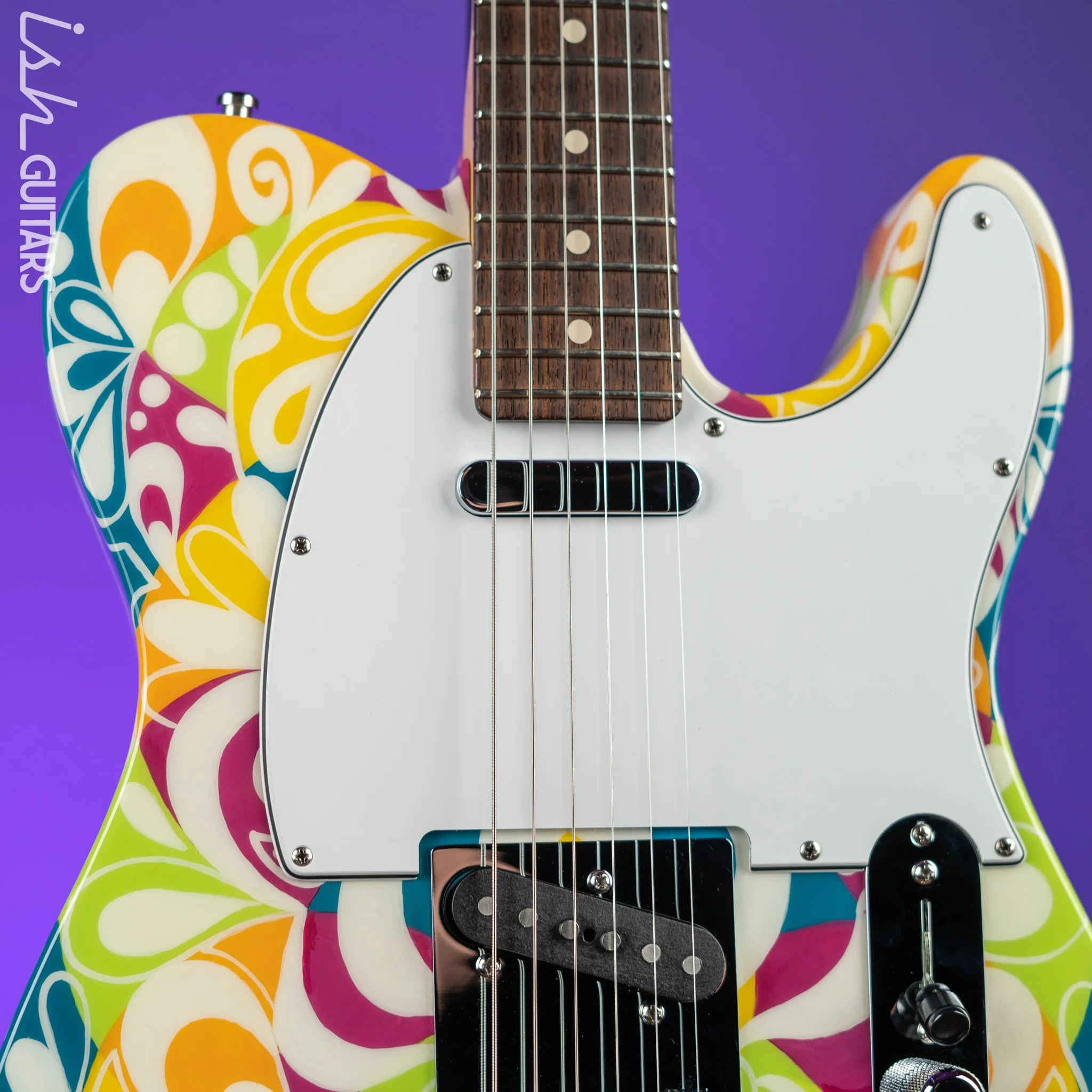 2017 Fender Masterbuilt Greg Fessler Custom Shop Primavera Telecaster Madison Roy Artwork - Image 3