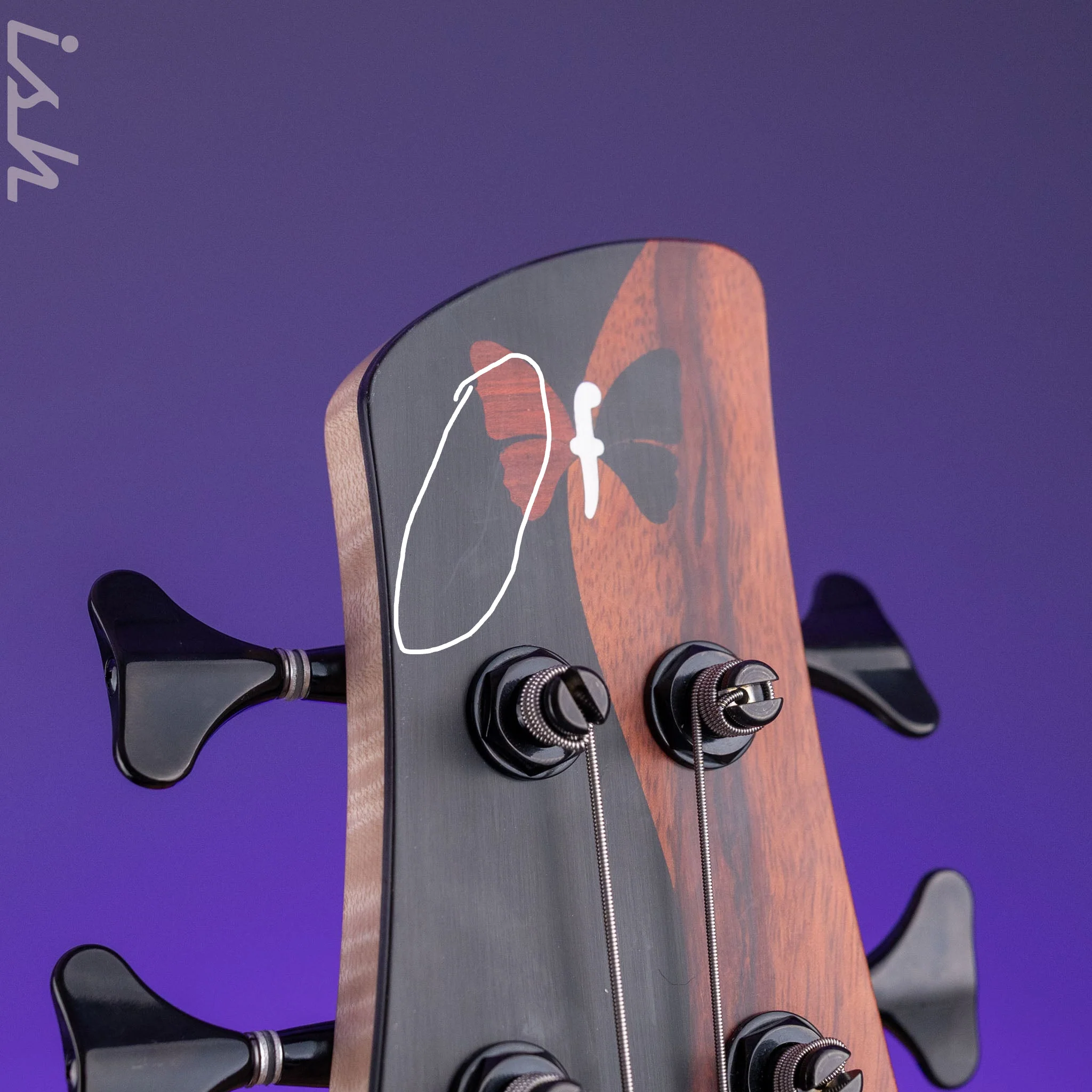 2017 Fodera Yin Yang Elite Monarch NAMM - Image 19