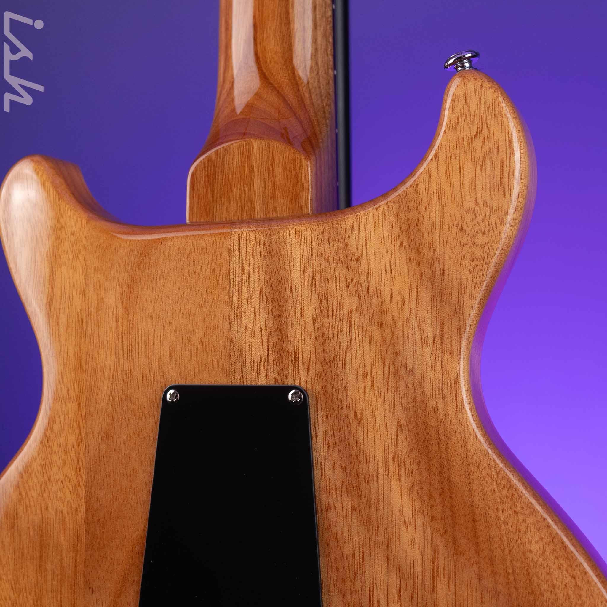 2018 PRS SE Santana Electric Guitar - Image 10