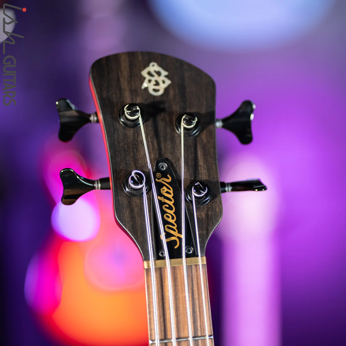 2019 Spector Forte 4 Black Cherry New Old Stock - Image 6
