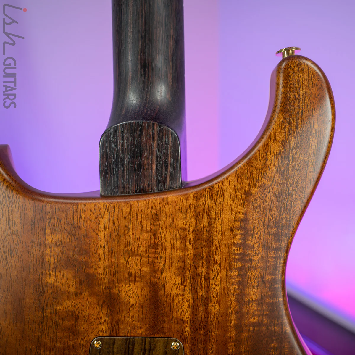 2020 PRS Private Stock DGT Sweetwater Exclusive Owls - Image 15