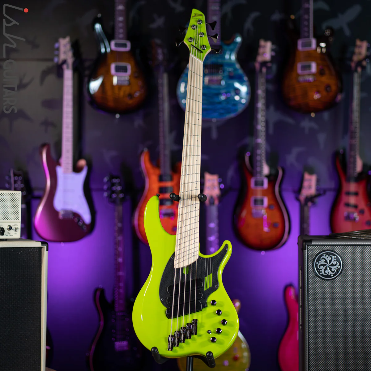 Dingwall NG-3 5-String Bass Ferrari Green - Image 2