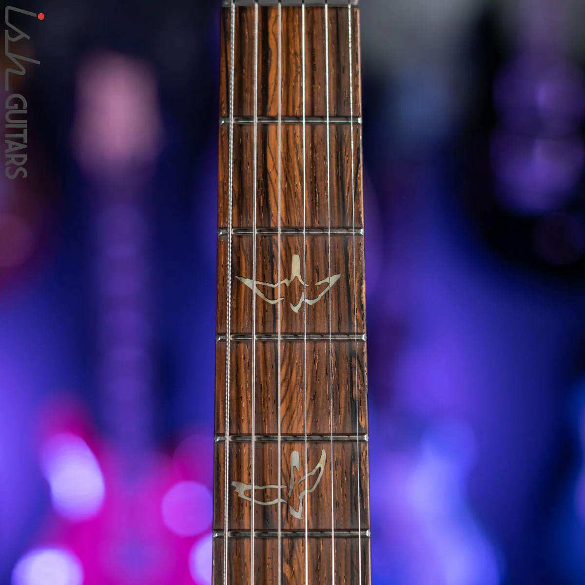 PRS Wood Library Custom 24 10 Top Quilt Torrefied Maple Neck Natural Gloss - Image 6