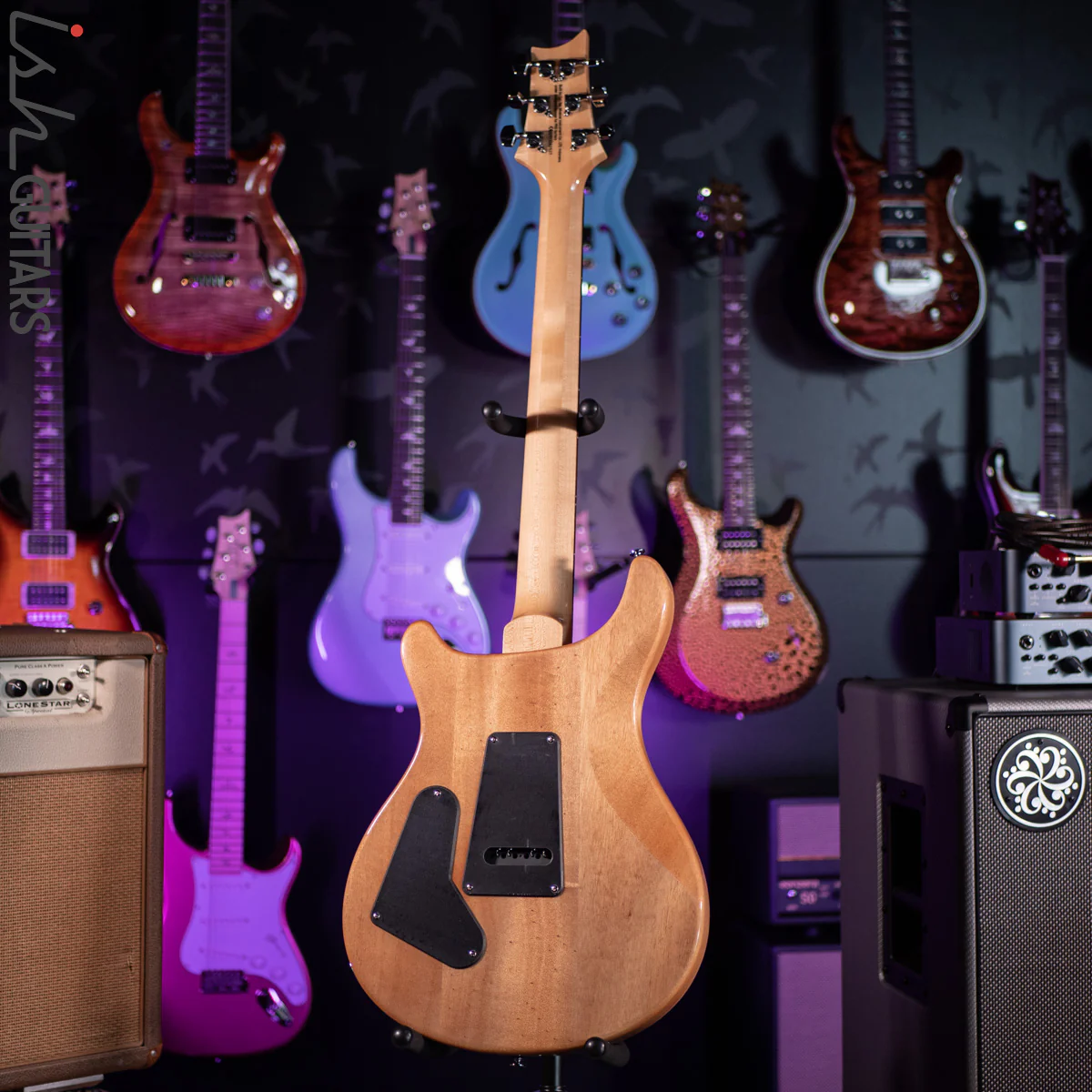 PRS SE Custom 24-08 Eriza Verde - Image 9