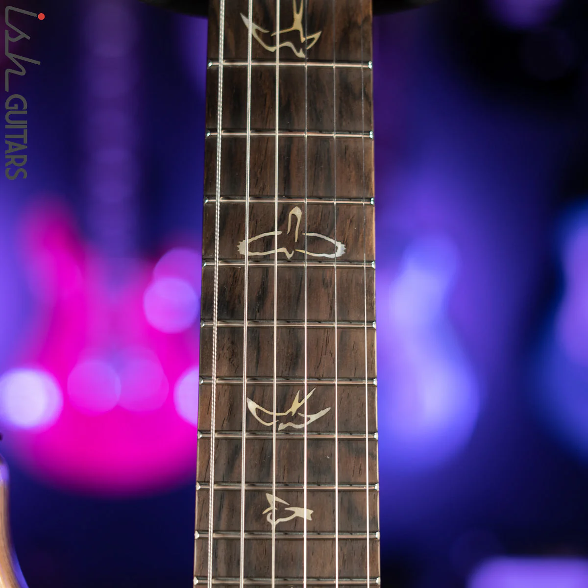 2021 PRS Wood Library Custom 24 10 Top Quilt Torrefied Maple Neck Natural Gloss - Image 6