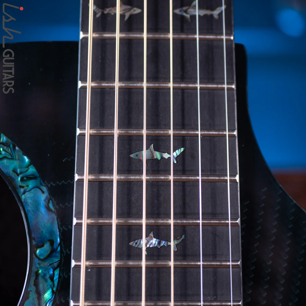 RainSong 25th Anniversary Black Ice Acoustic Guitar - Image 3