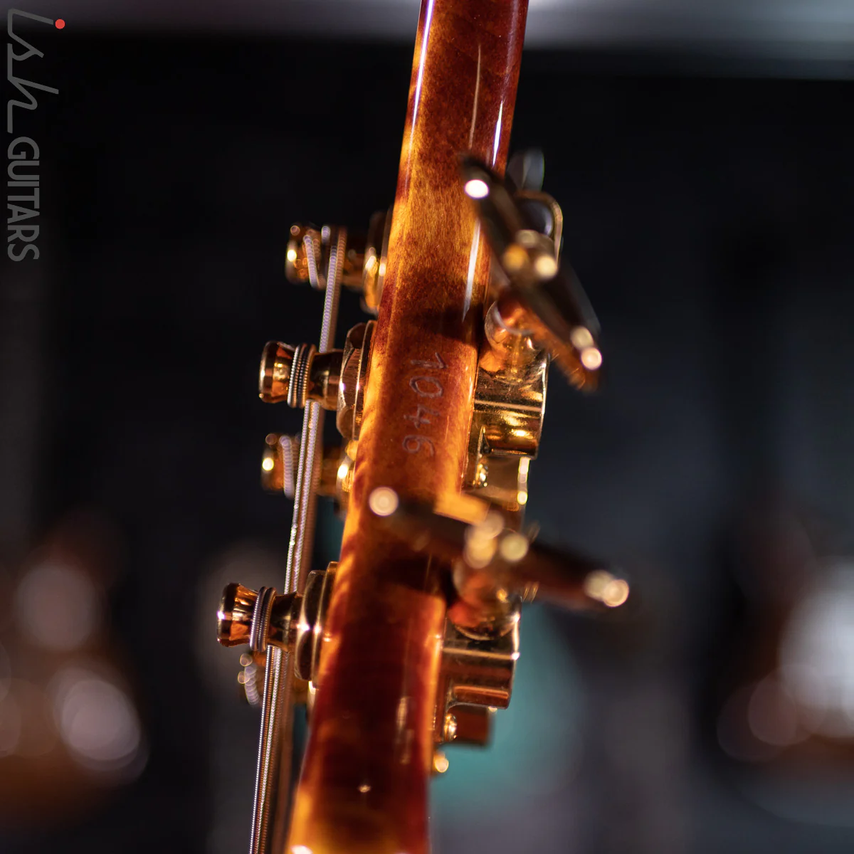 2021 Ritter Roya 5 String Bass Guitar Late Lounge Refurbished - Image 17