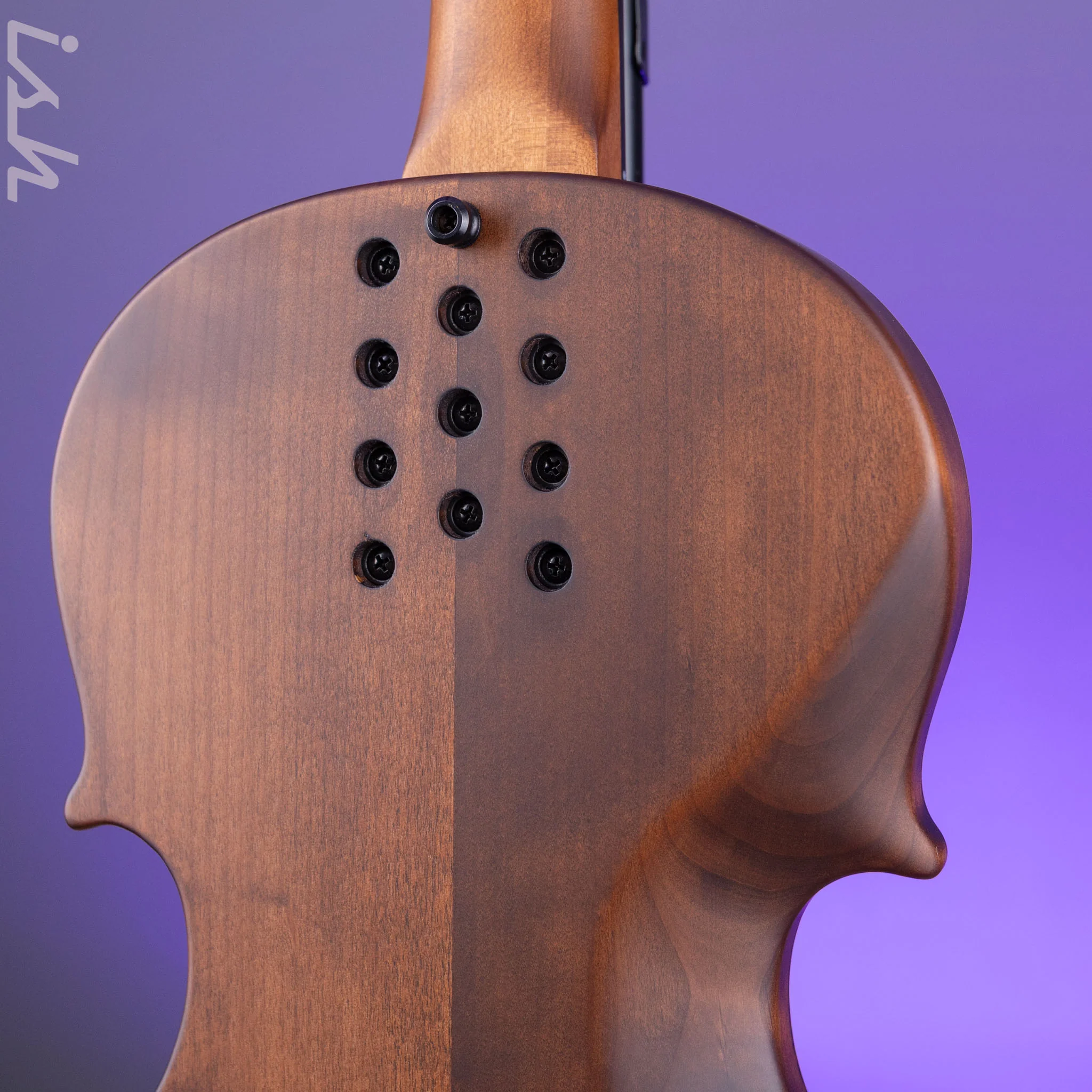 2021 Ritter Violin Bass Vintage Antonio - Image 11