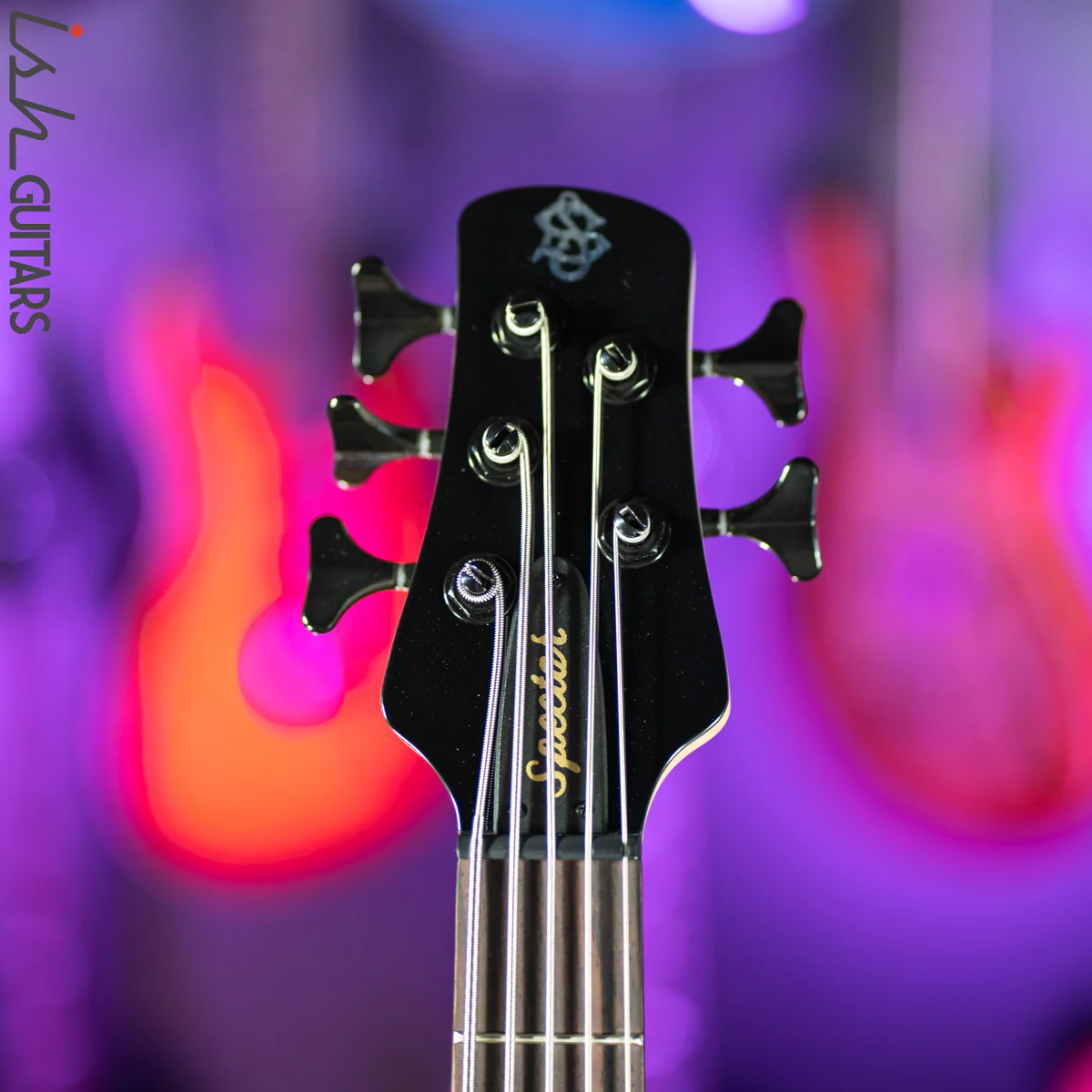 Spector Bantam 5 Short Scale Bass Black Stain Gloss - Image 6