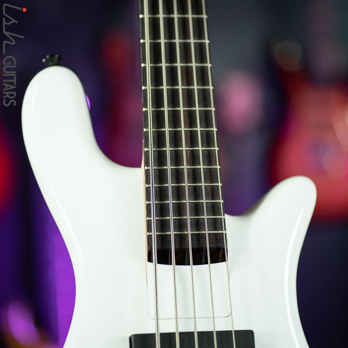 Spector Bantam 5 Short Scale Bass White Gloss Demo - Image 5
