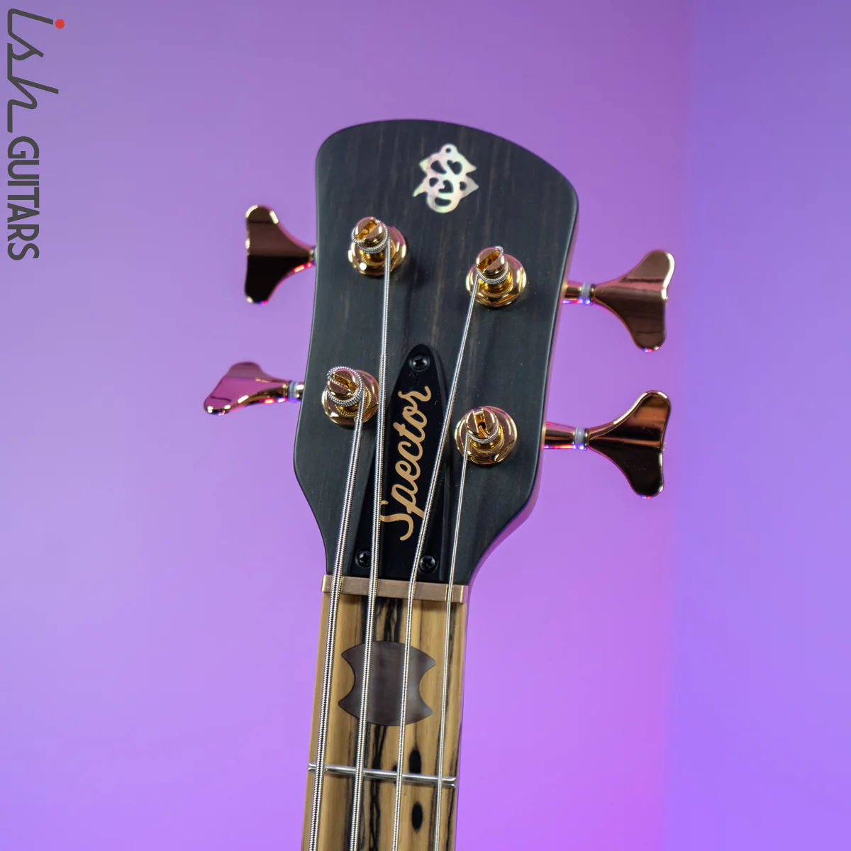 Spector Custom NS-2 Ziricote - Image 7
