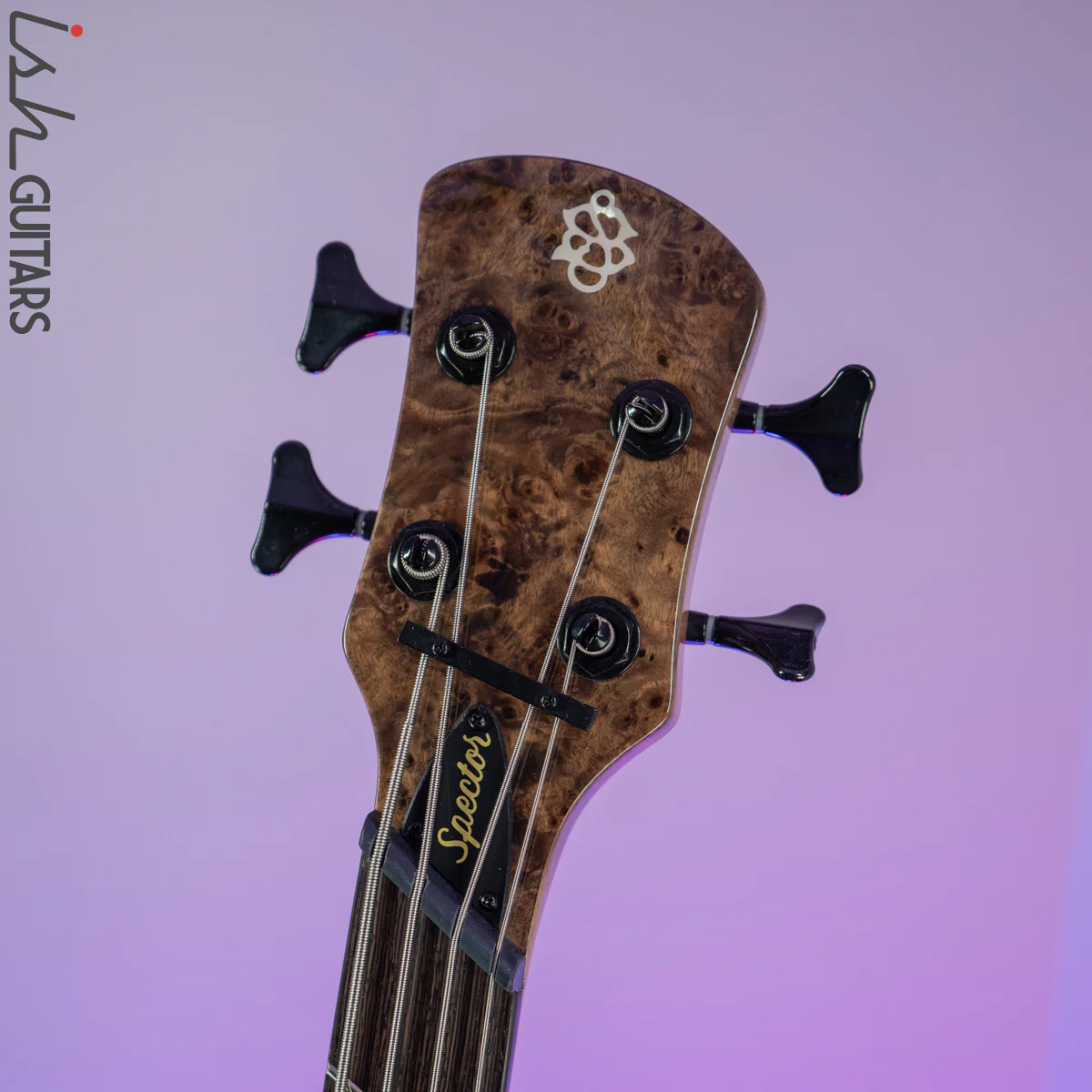 2021 Spector NS Dimension 4 Multi-Scale Super Faded Black Gloss - Image 7
