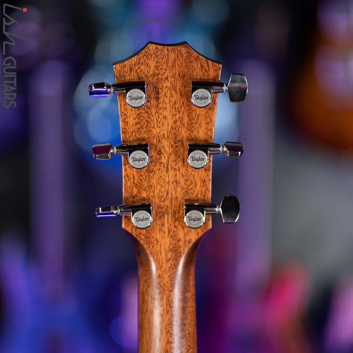Taylor 317e Grand Pacific V-Class Natural - Image 13