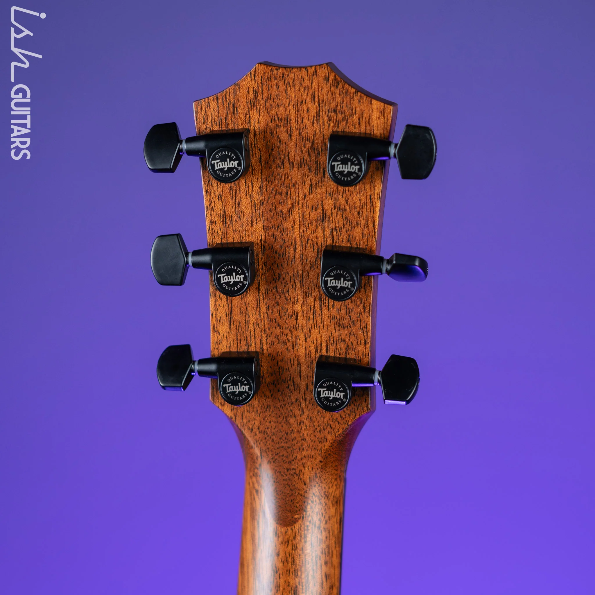 2021 Taylor 324ce Blacktop LTD - Image 10