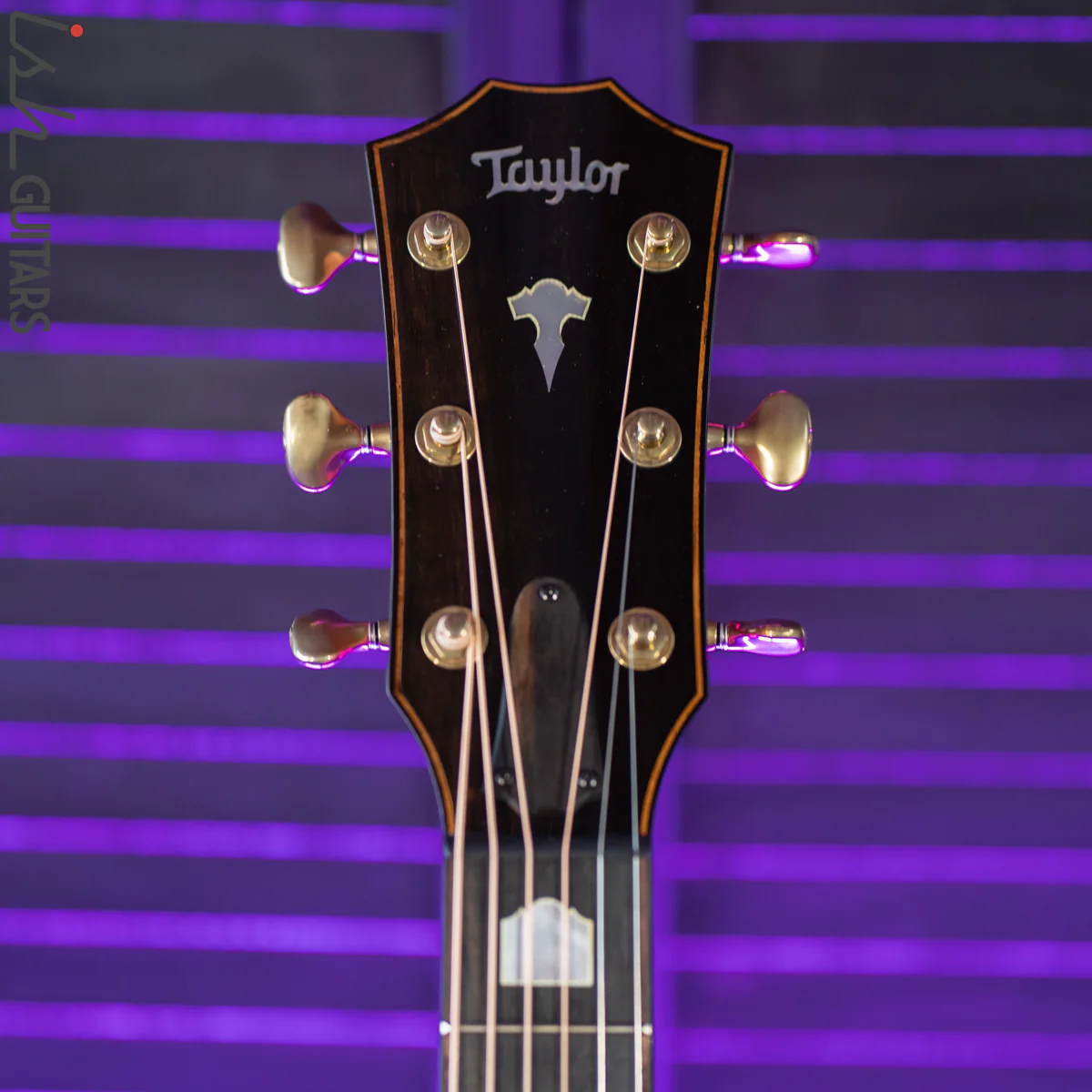 2021 Taylor Custom GA LTD Rosewood Sitka Spruce Antique Blond - Image 6