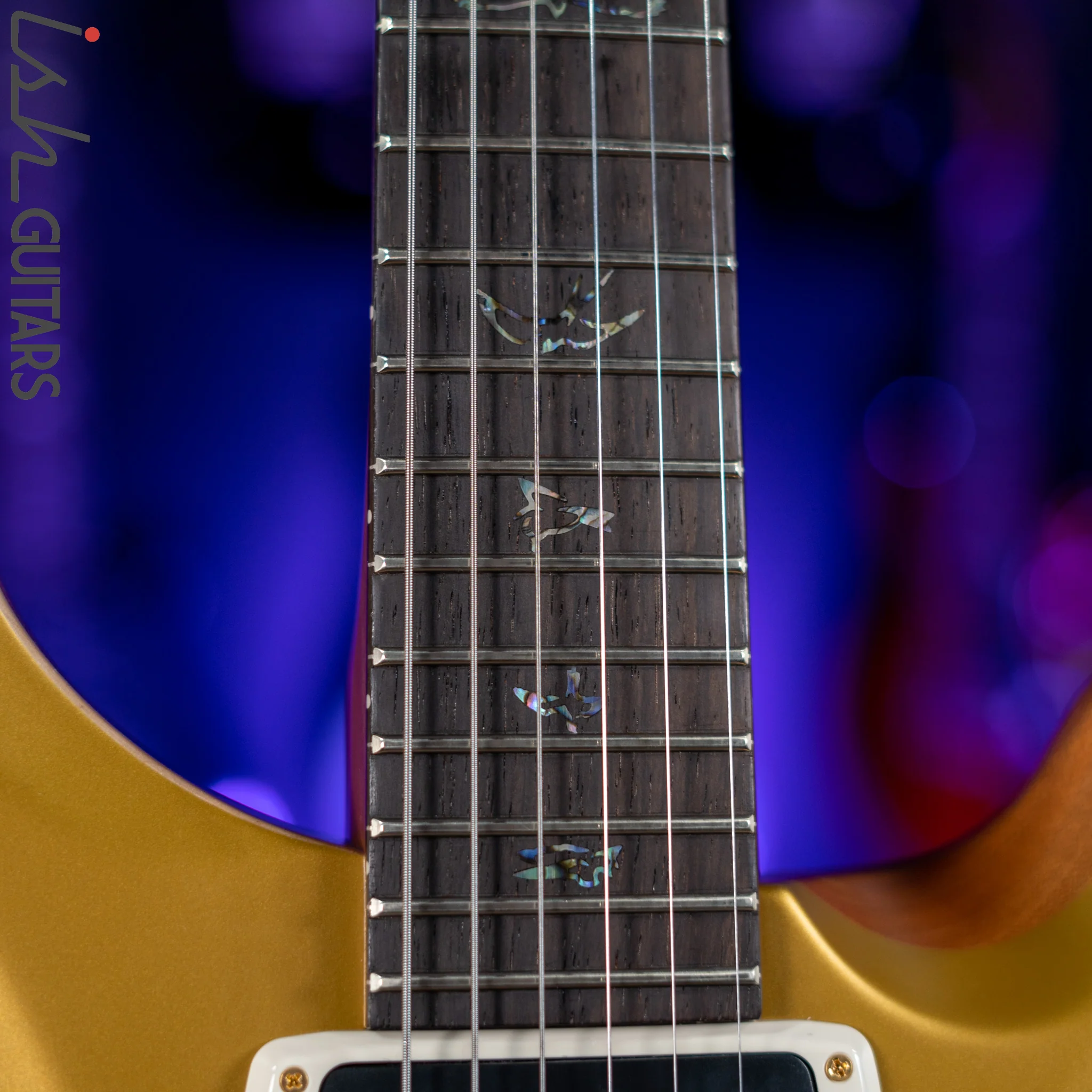 PRS Wood Library Modern Eagle V Opaque Gold Top Brazilian Rosewood - Image 5
